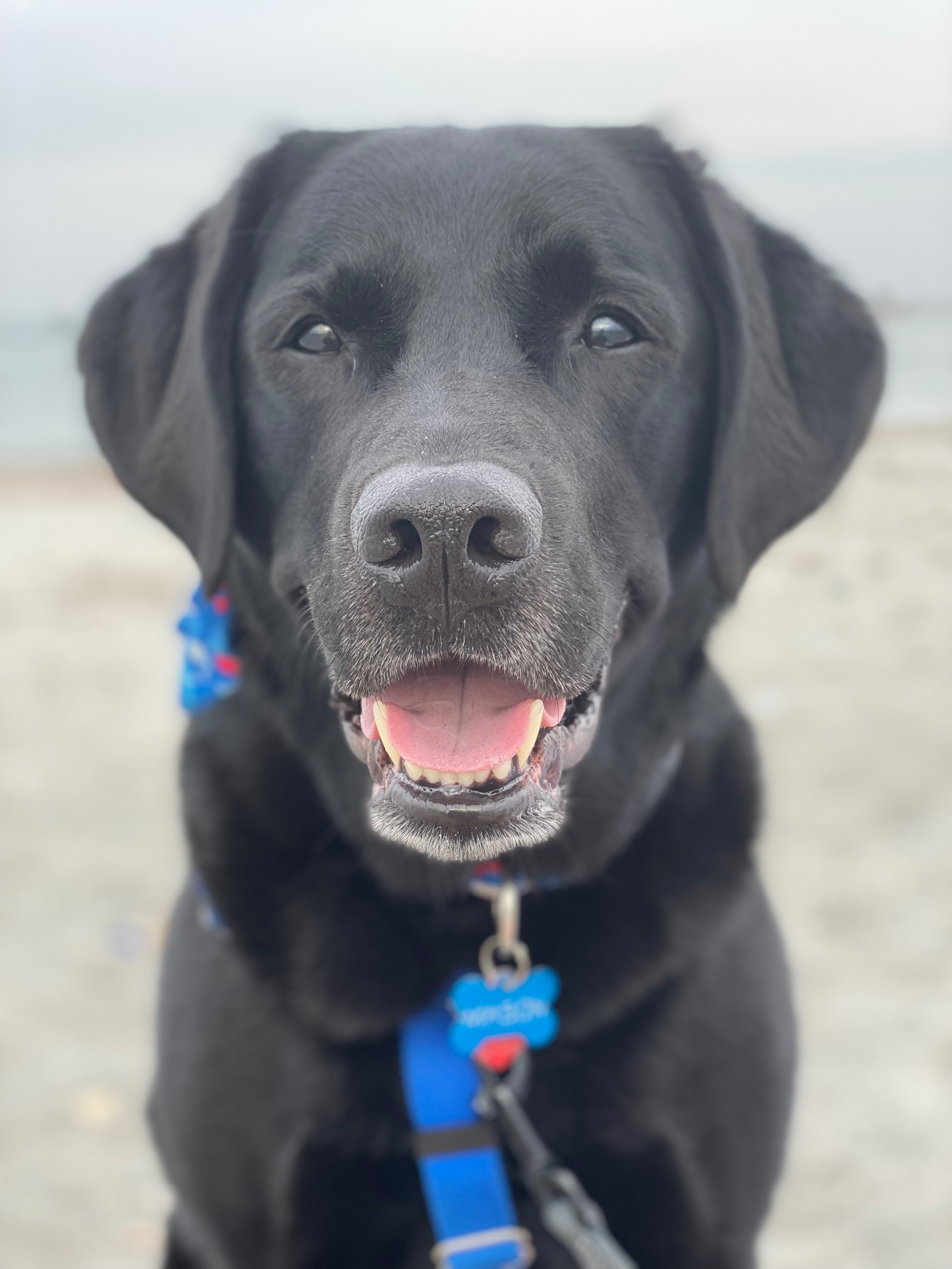 Support Mason’s Recovery Journey campaign photo, 5 of 7