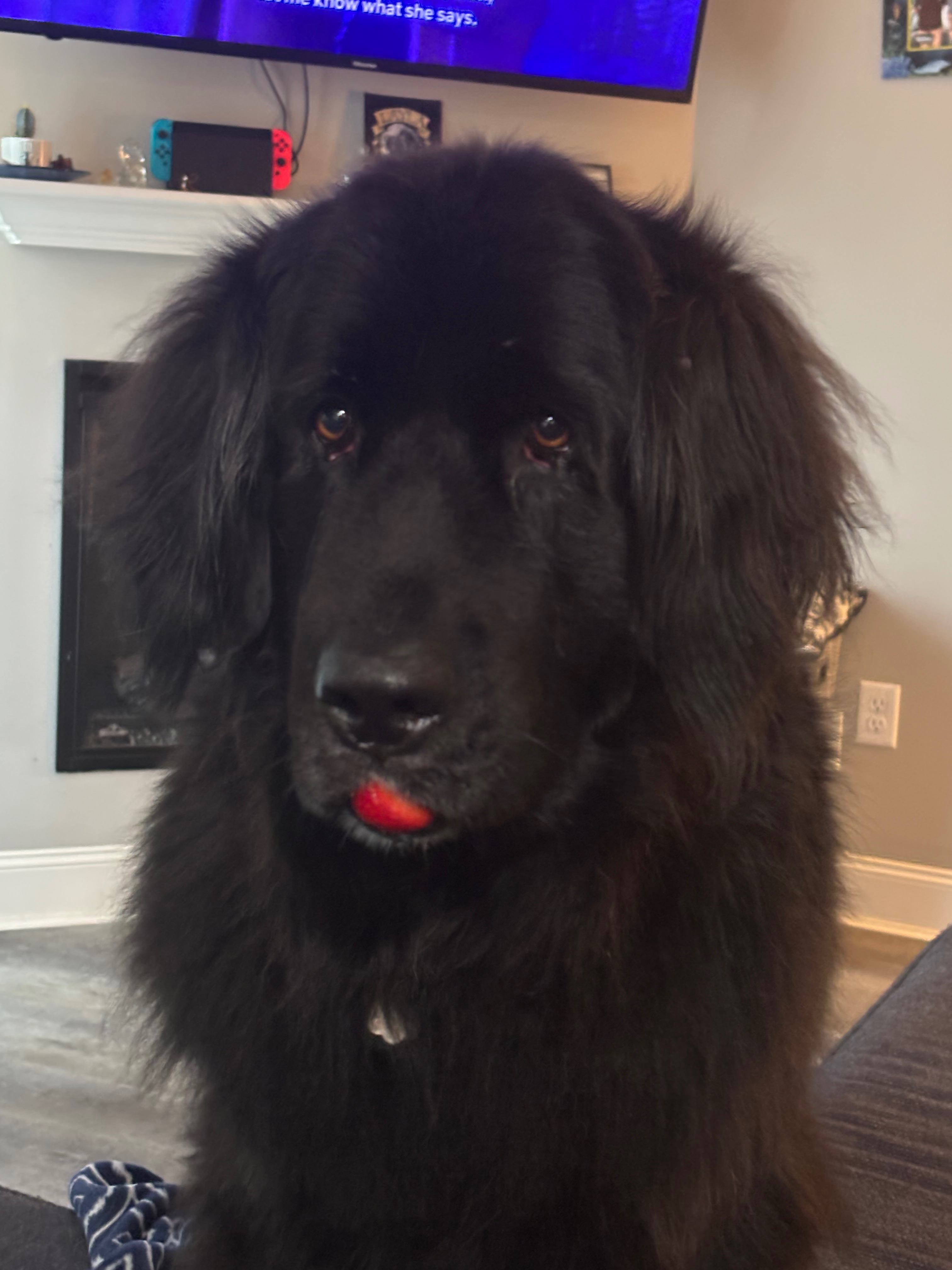 Help Layla Get the Surgery She Needs campaign photo, 2 of 7