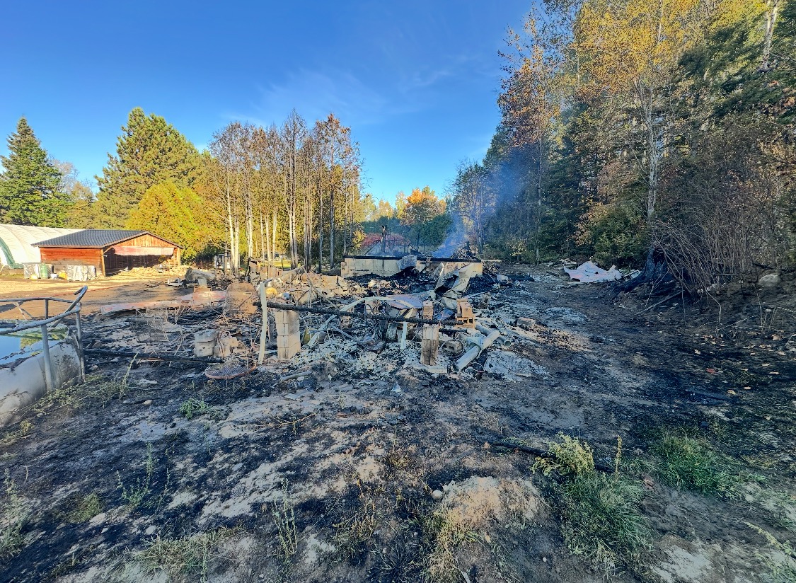 User-uploaded image 1