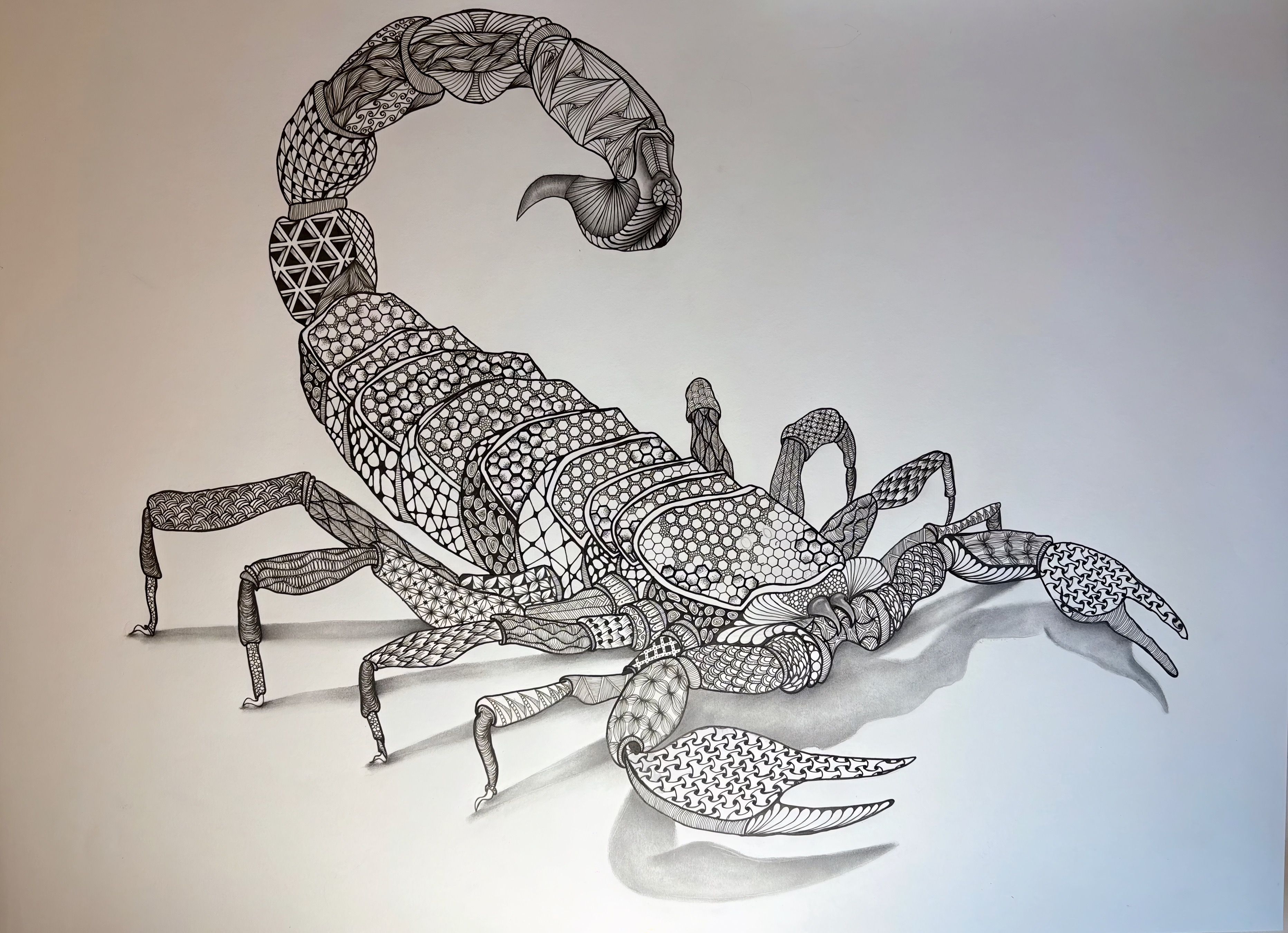 Investing in a dream and a journey through art campaign photo, 5 of 8