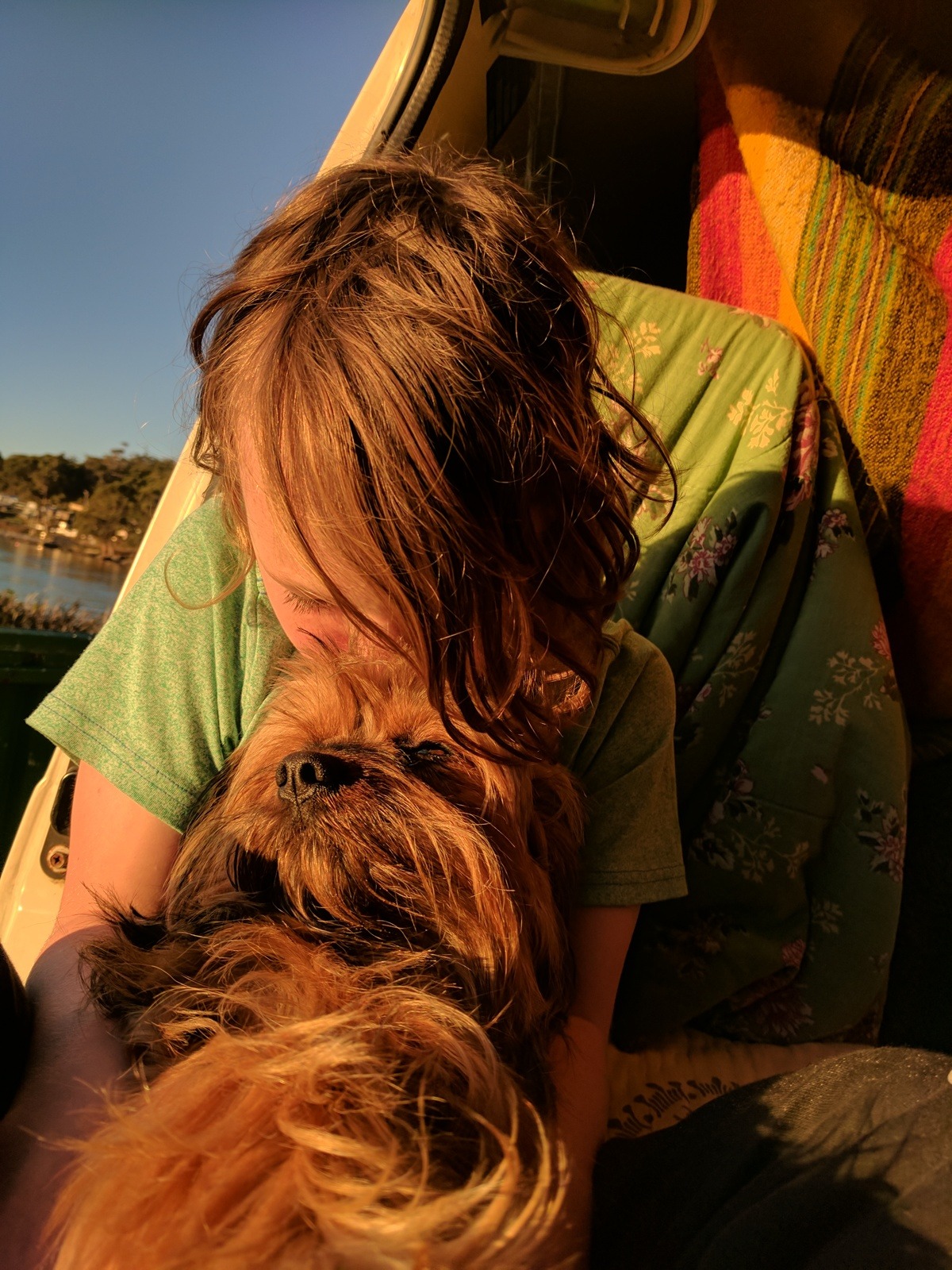Support Surgery for Coco-Melanoma tumour & mammary lumps. campaign photo, 7 of 8