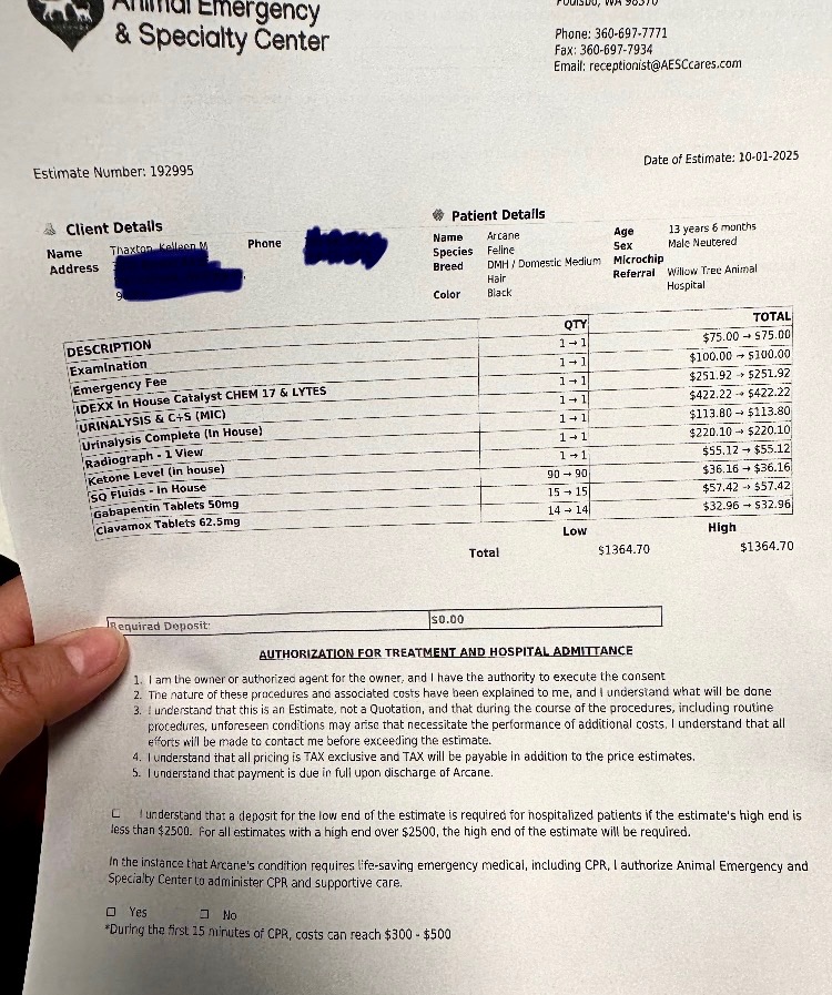 Help Arcane Get Urgent Medical Care campaign photo, 4 of 5