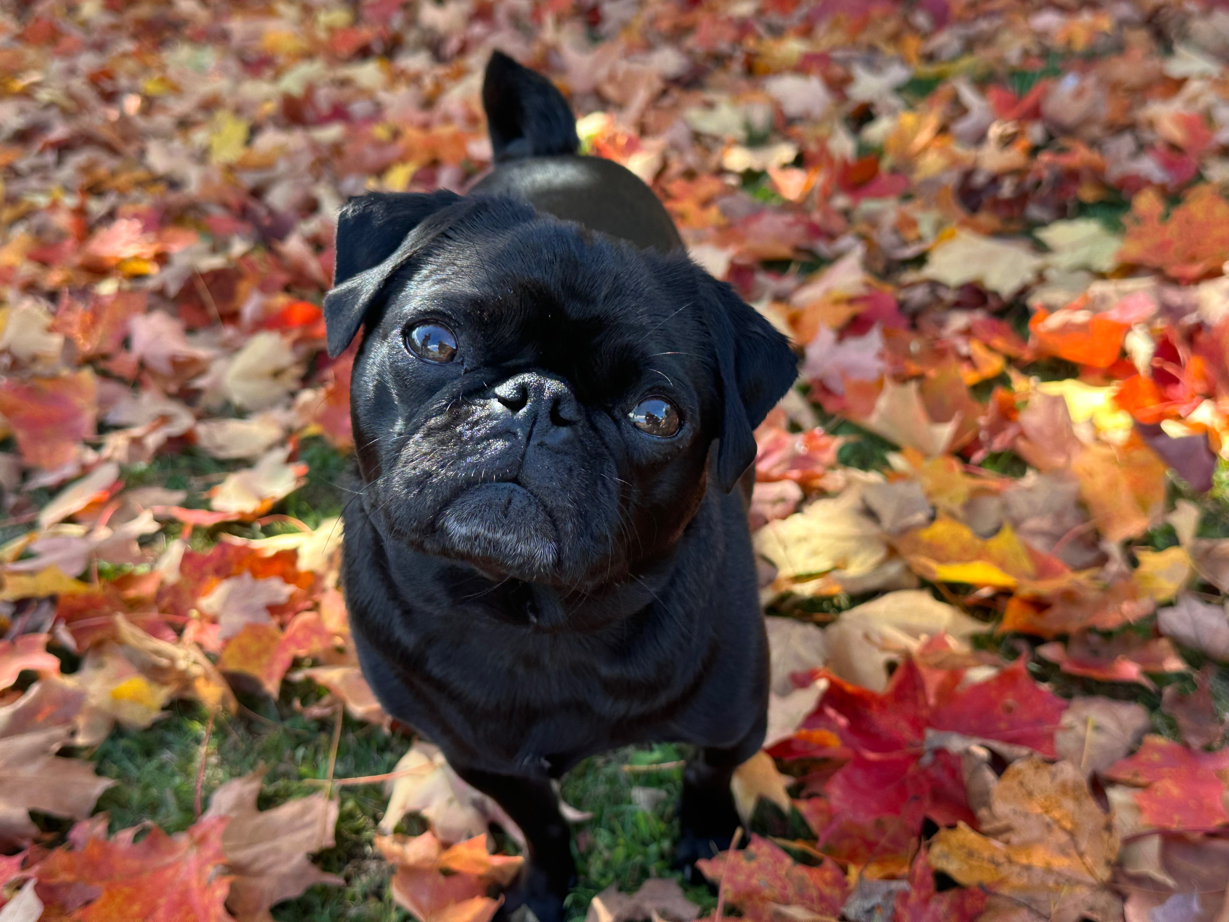 User-uploaded image 1