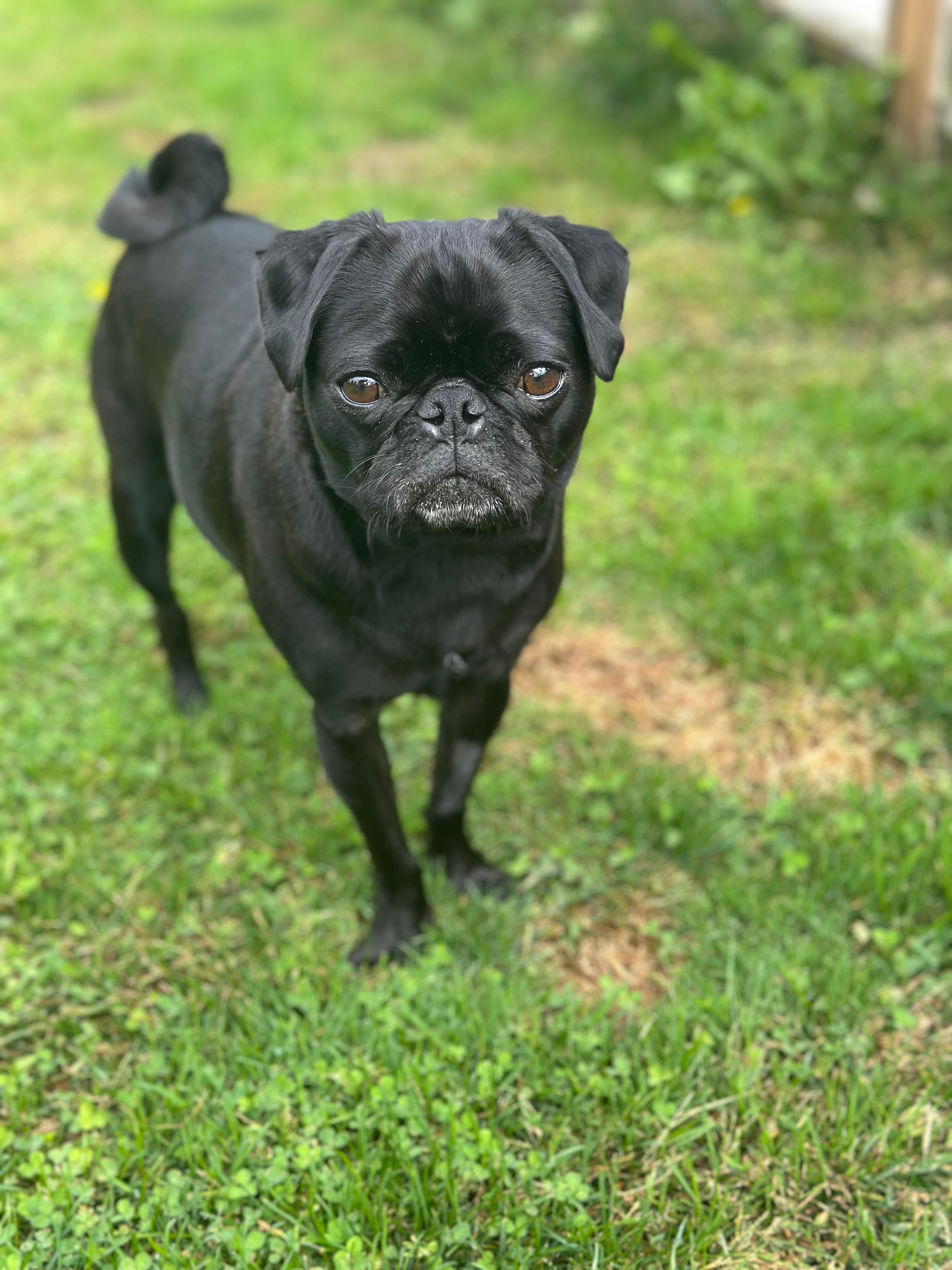 User-uploaded image 2