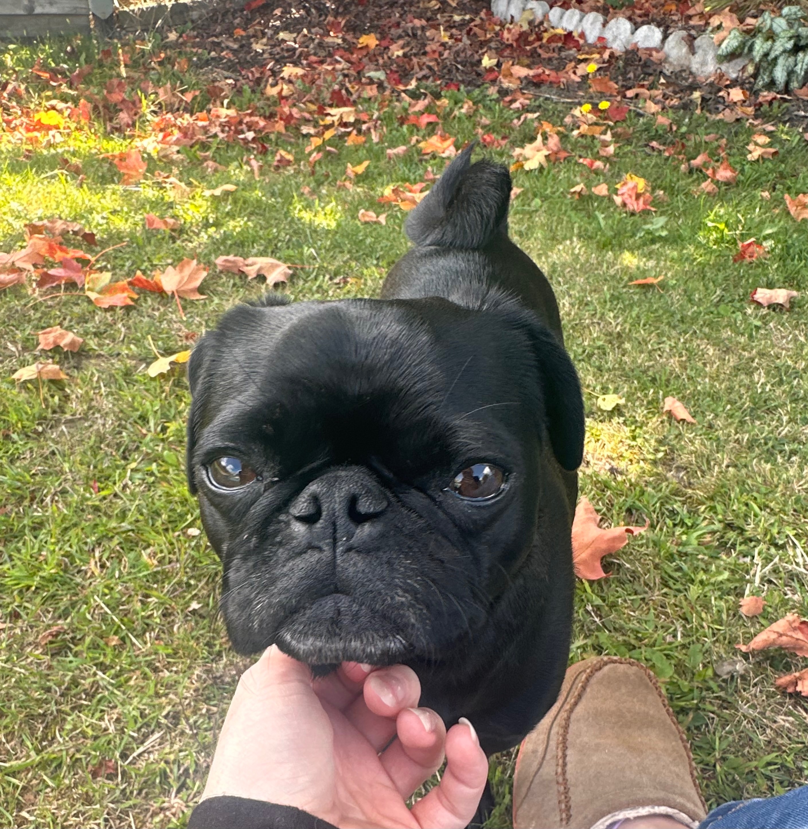 User-uploaded image 3