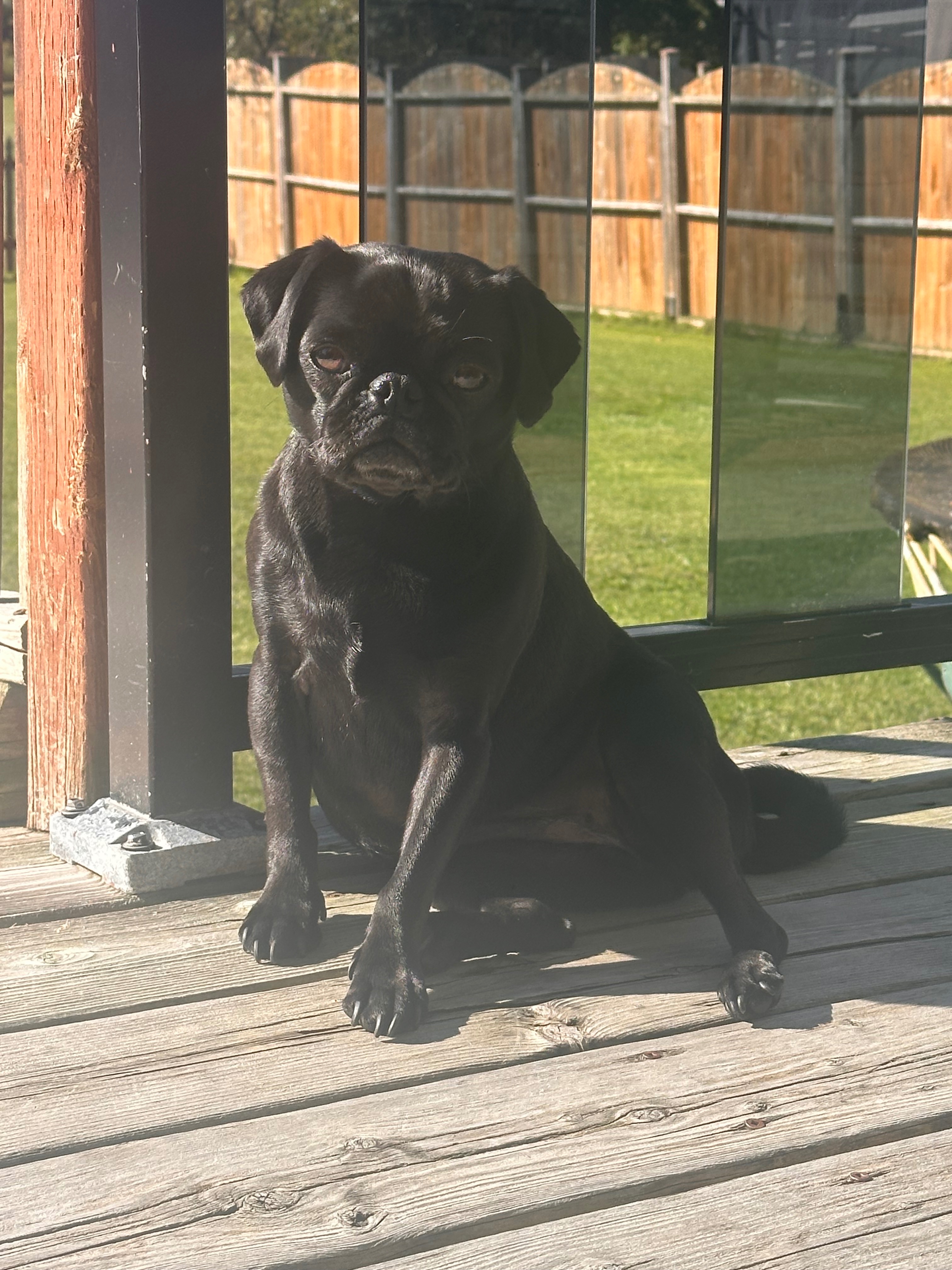 User-uploaded image 4