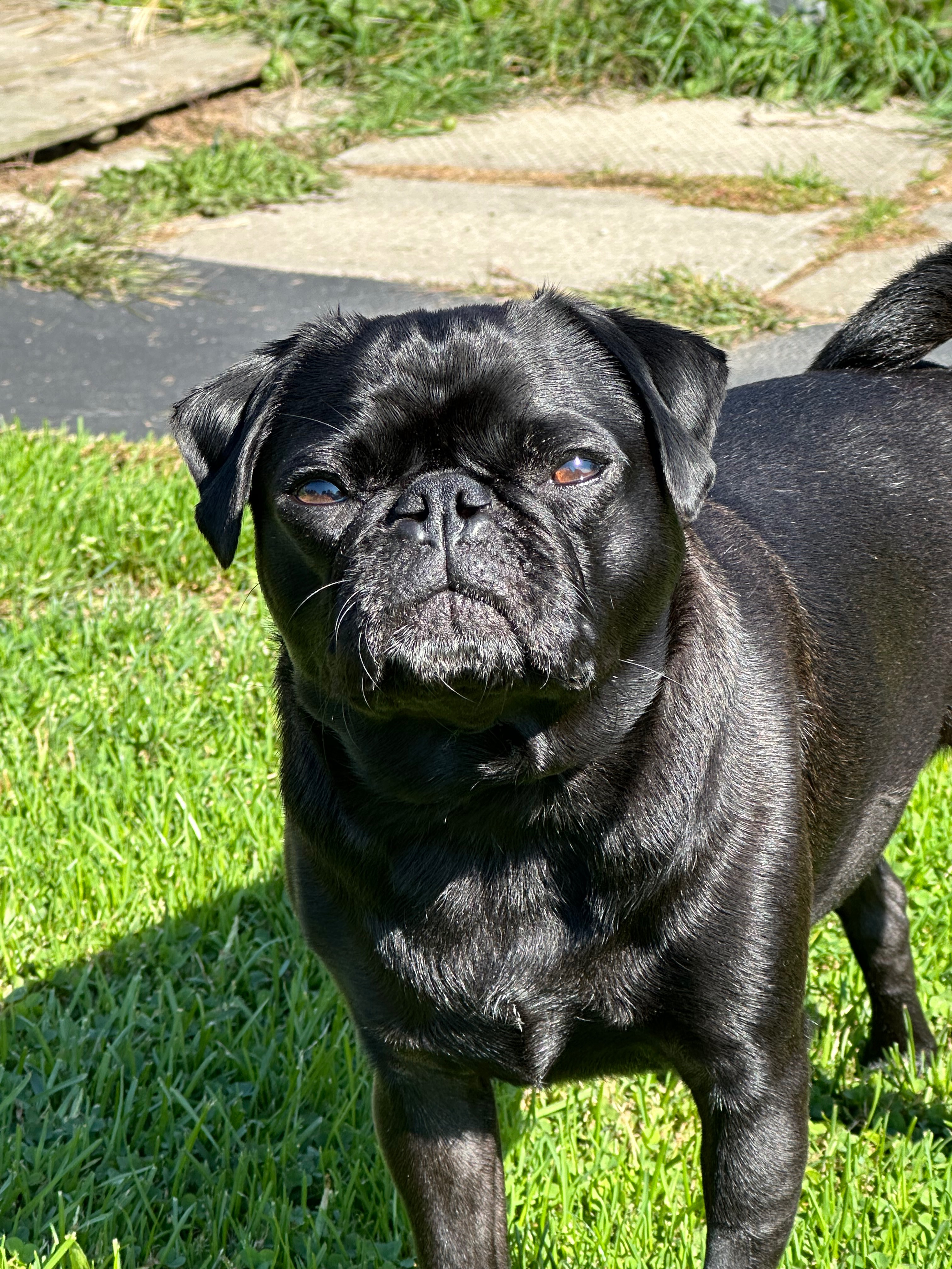 User-uploaded image 5