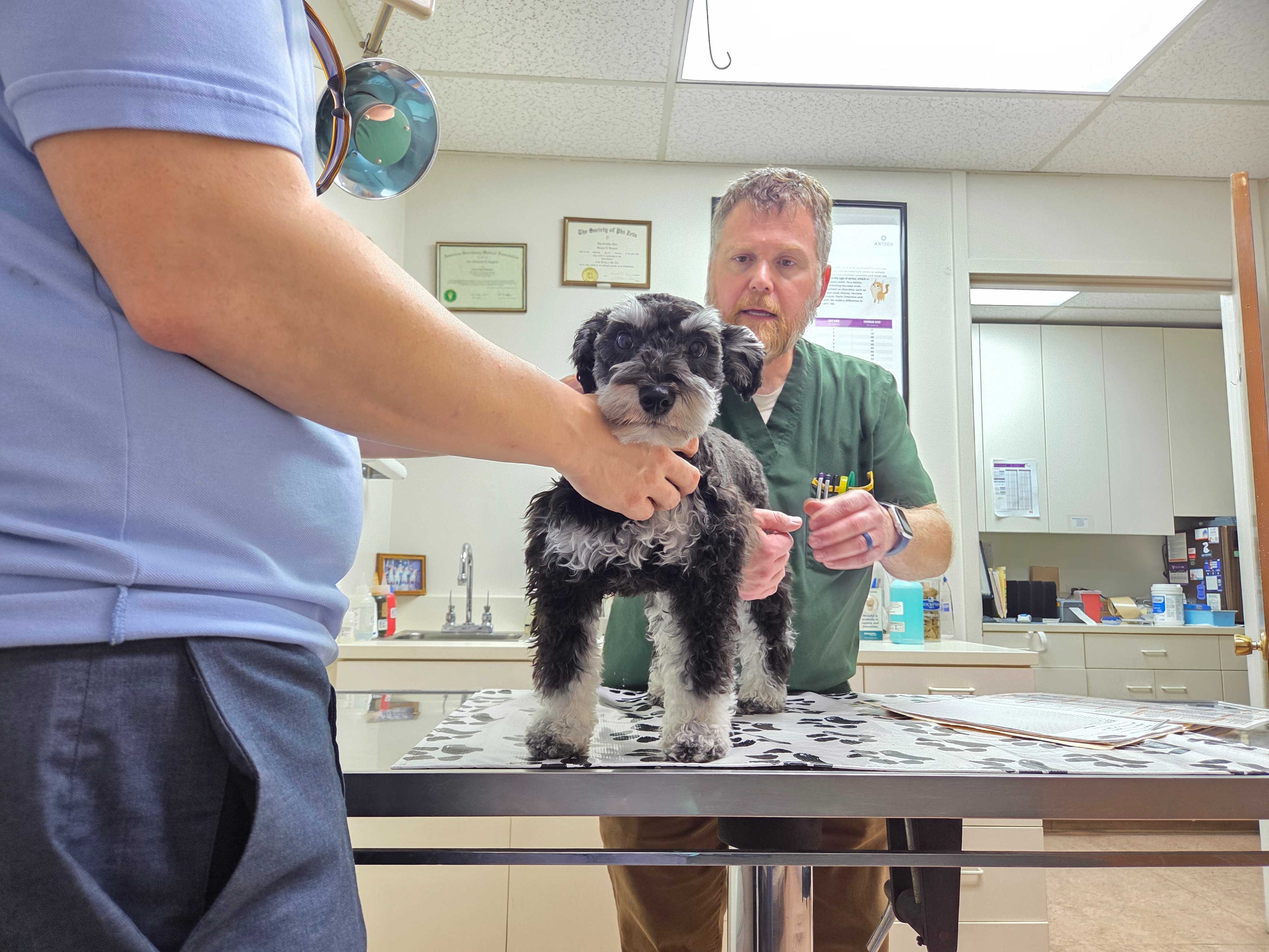 Emerald's vet treatments campaign photo, 7 of 8