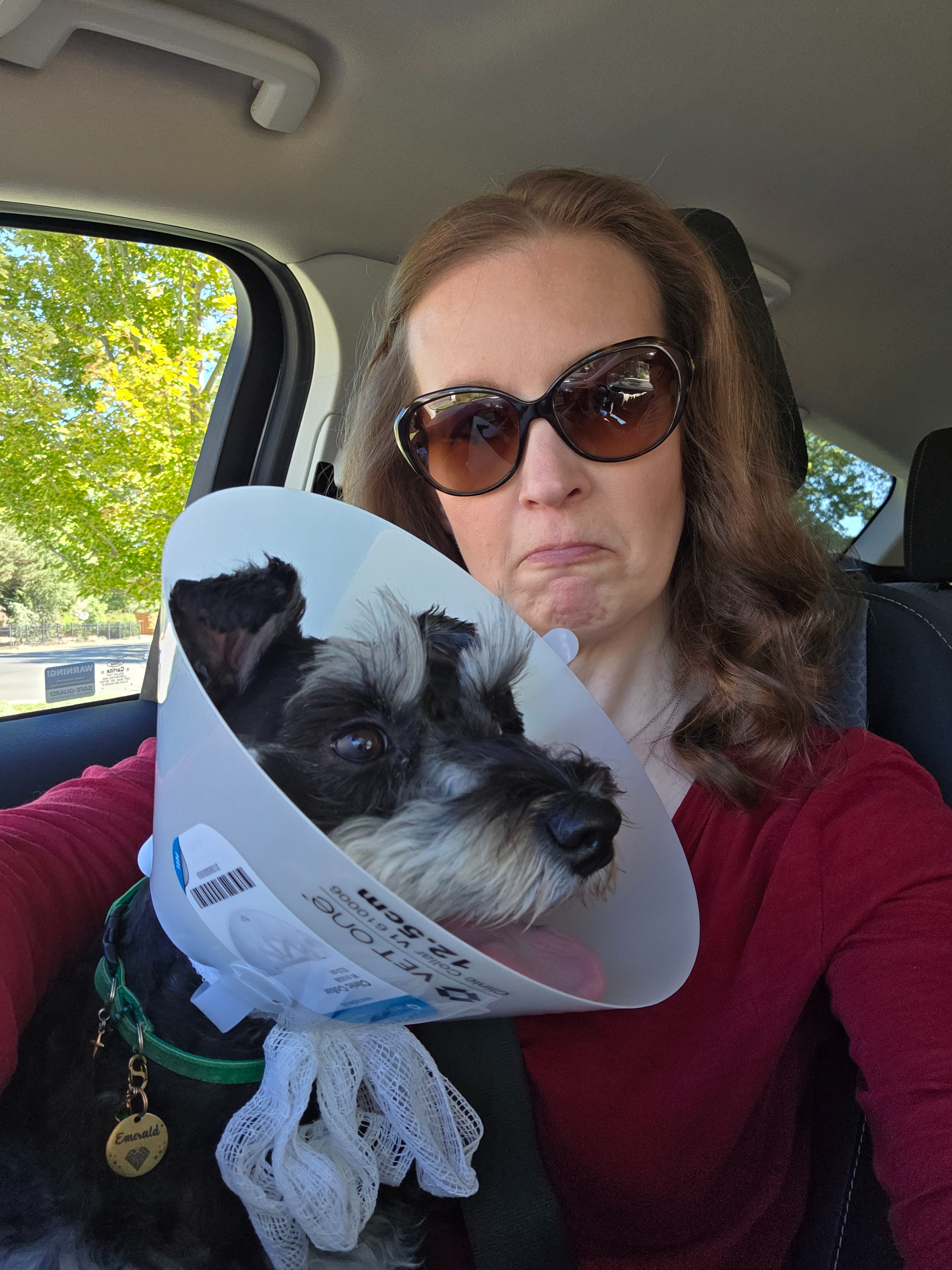 Emerald's vet treatments campaign photo, 2 of 8