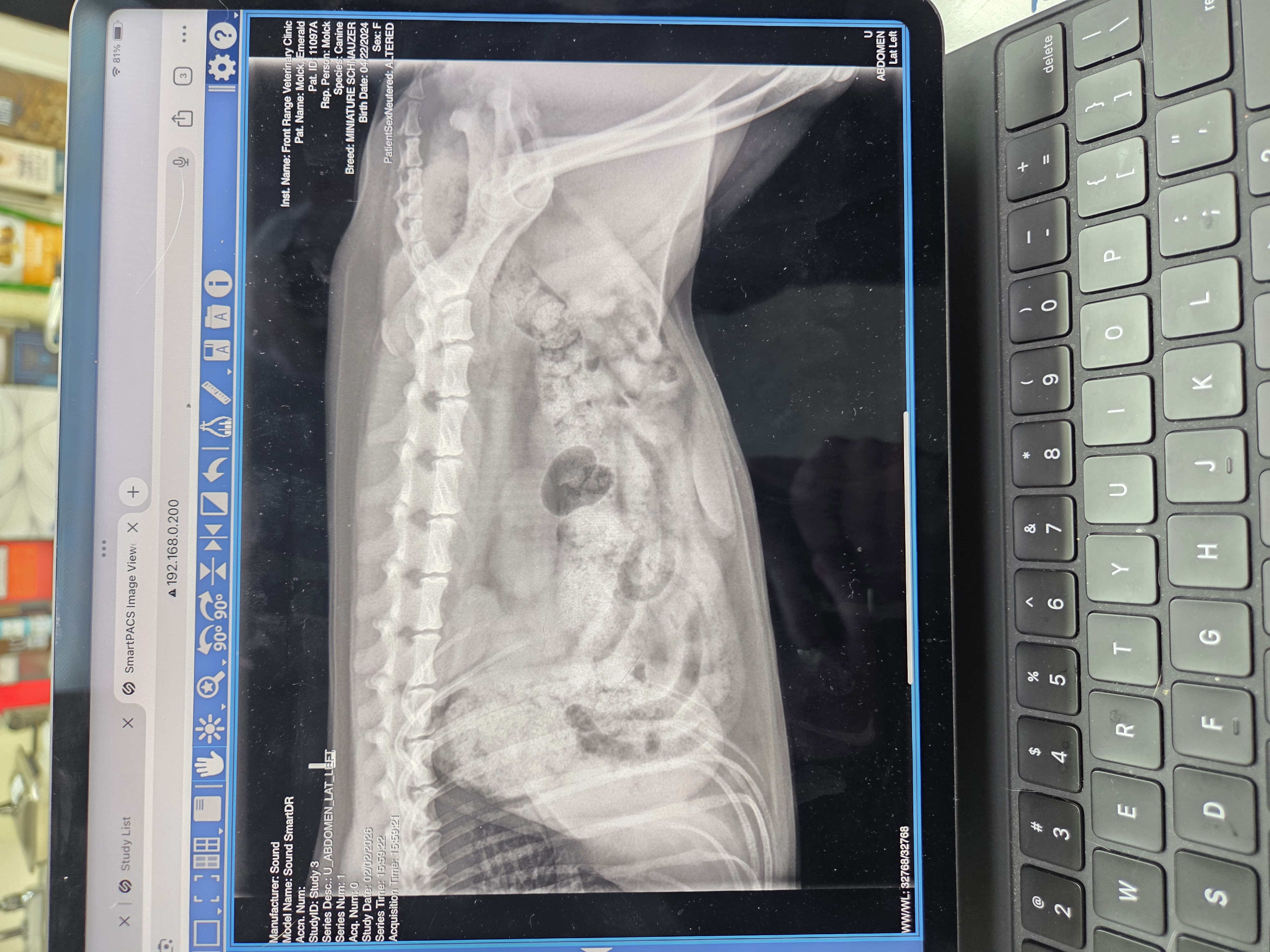 Emerald's vet treatments campaign photo, 4 of 8