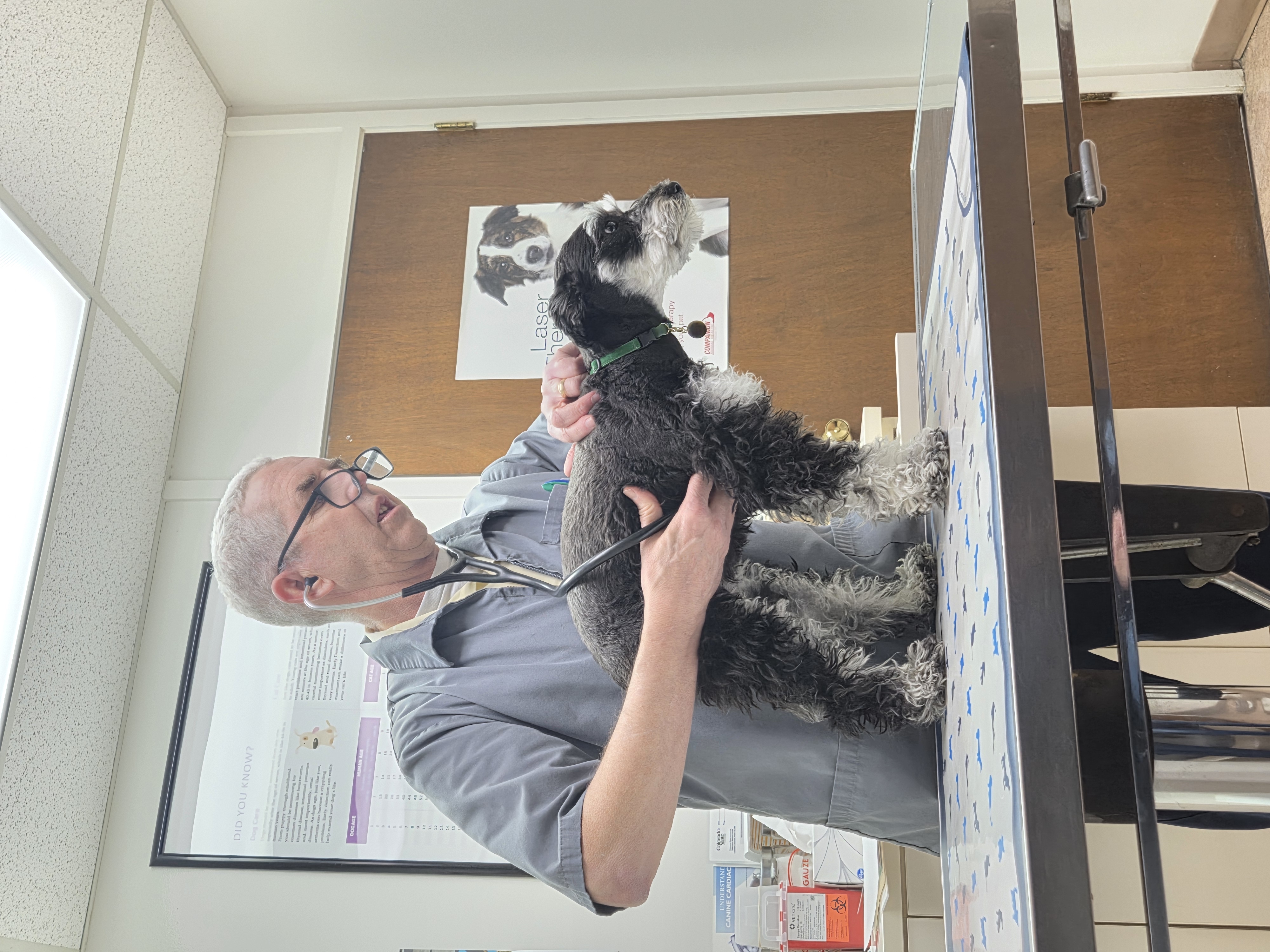 Emerald's vet treatments campaign photo, 5 of 8