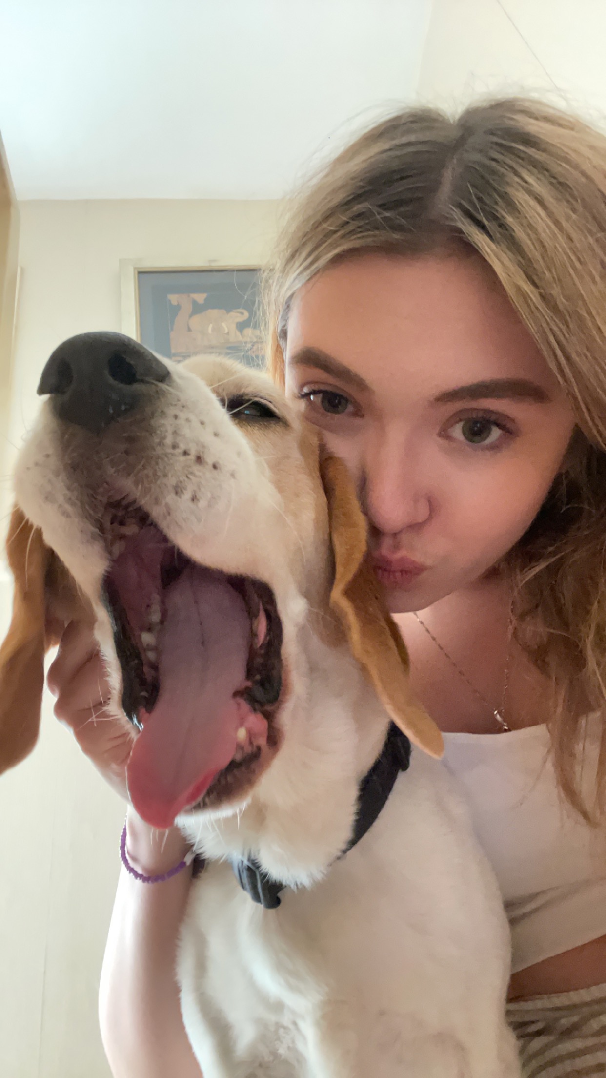 Please help us with Snoopy’s cancer treatment campaign photo, 7 of 8