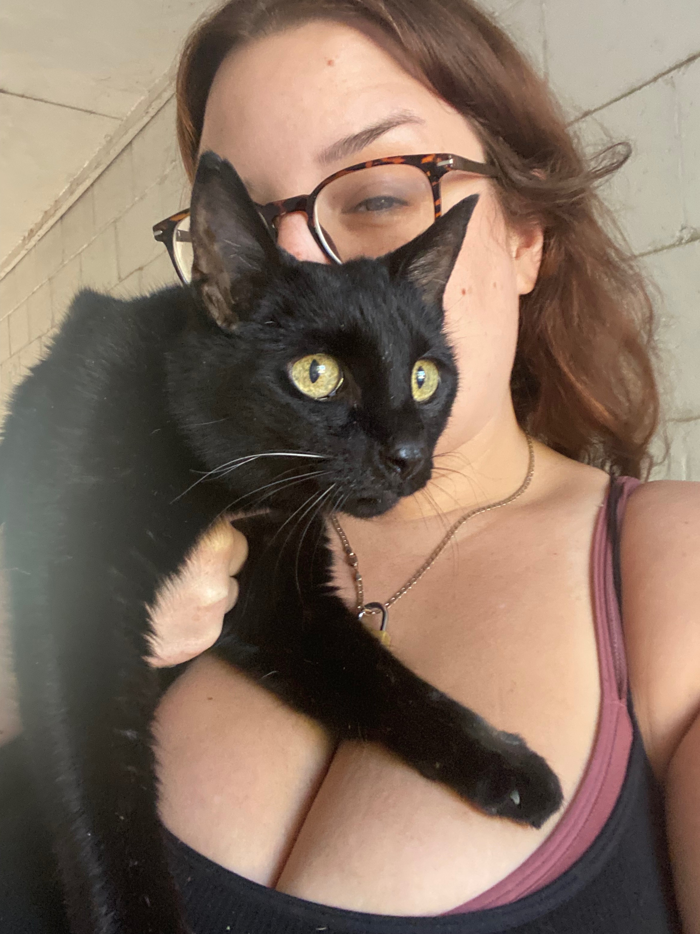 Help Satan kitty receive medical care campaign photo, 7 of 8
