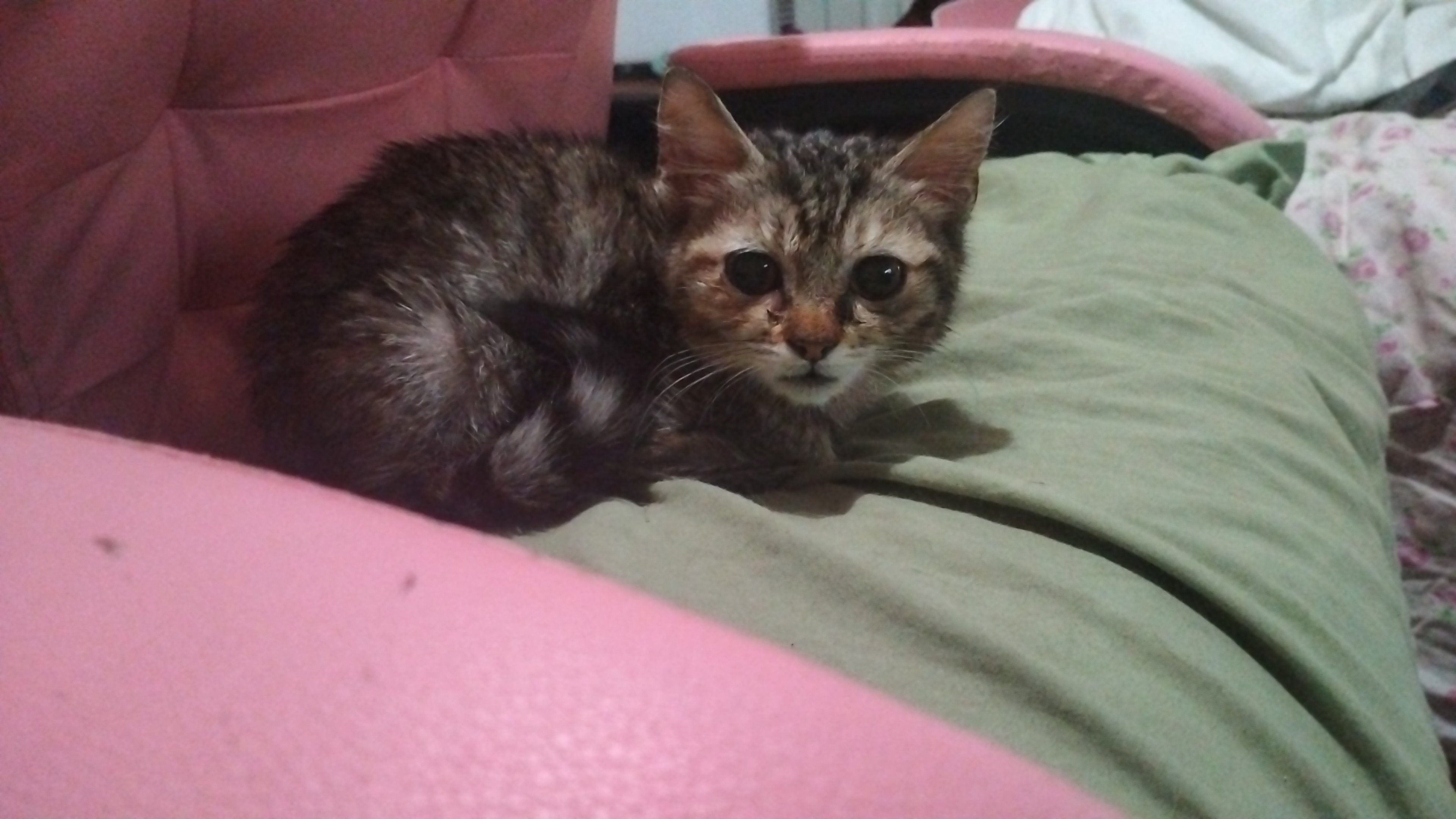 User-uploaded image 1