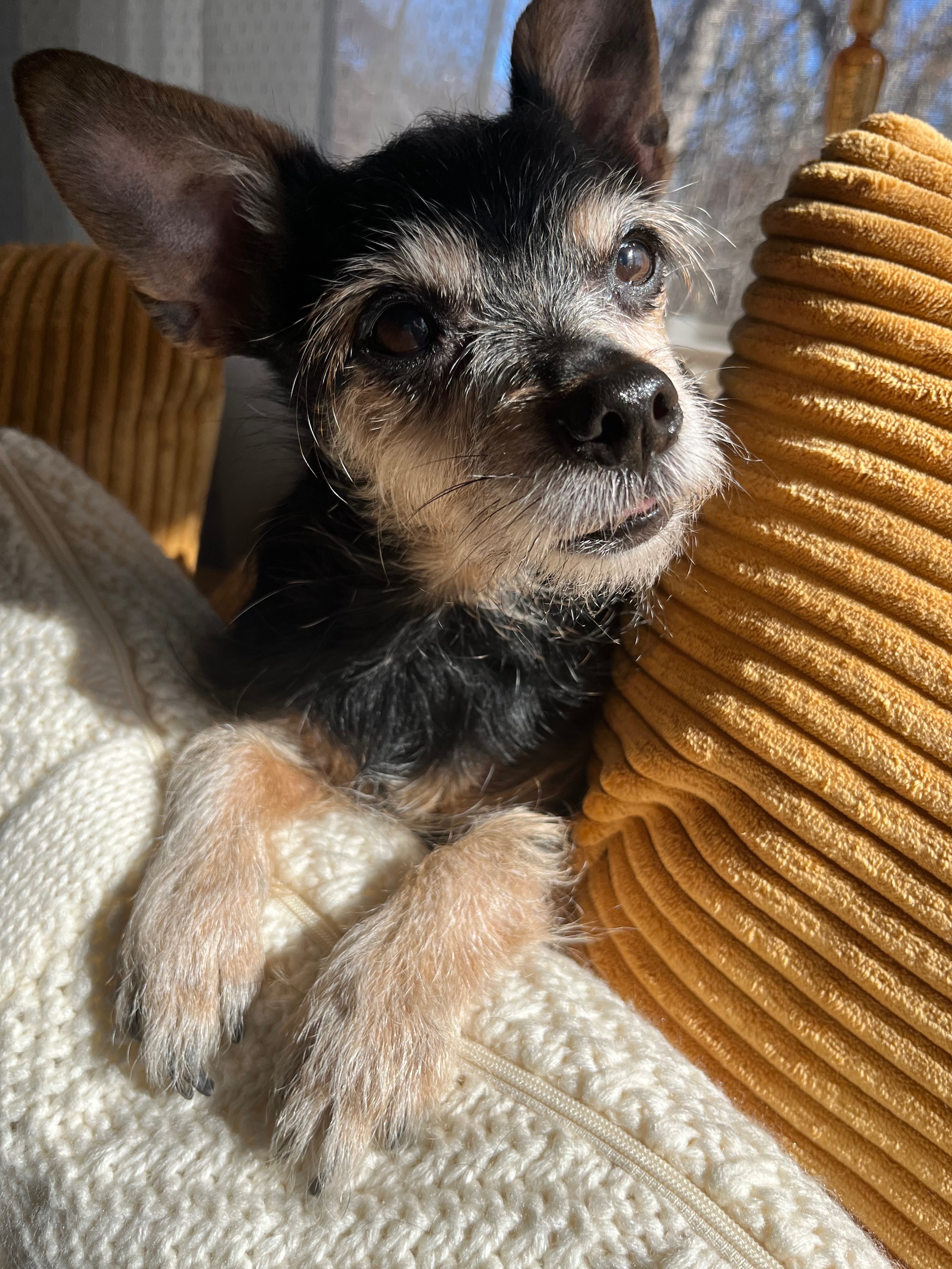 Donate to help Zoe campaign photo, 2 of 7