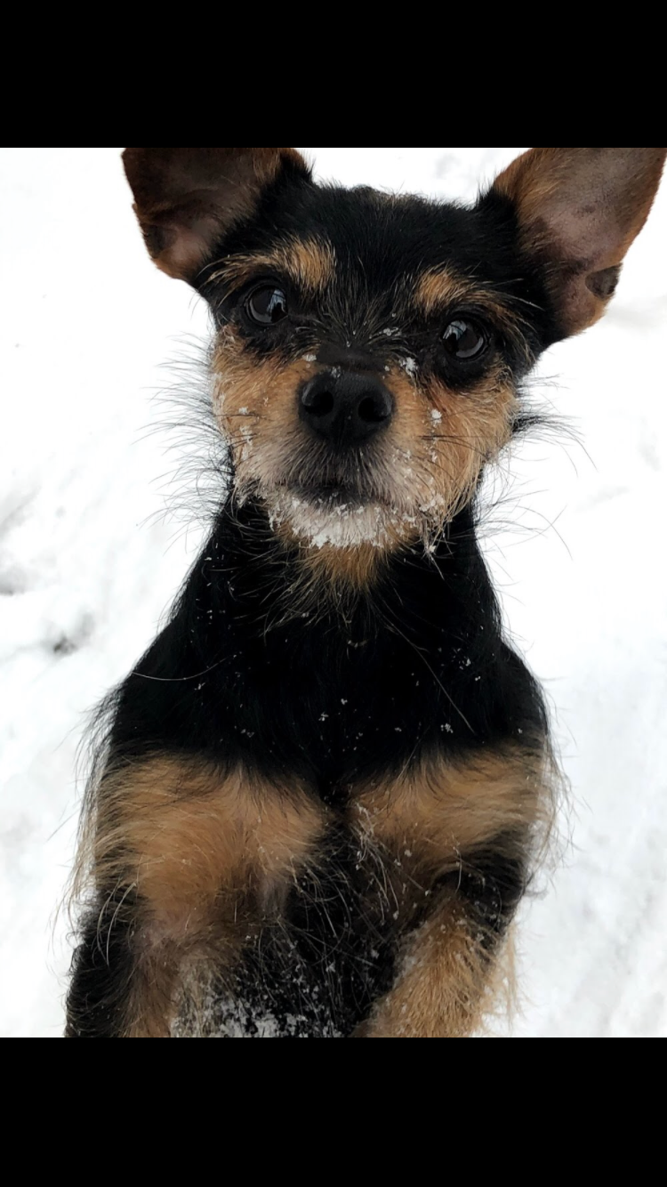 Donate to help Zoe campaign photo, 6 of 7