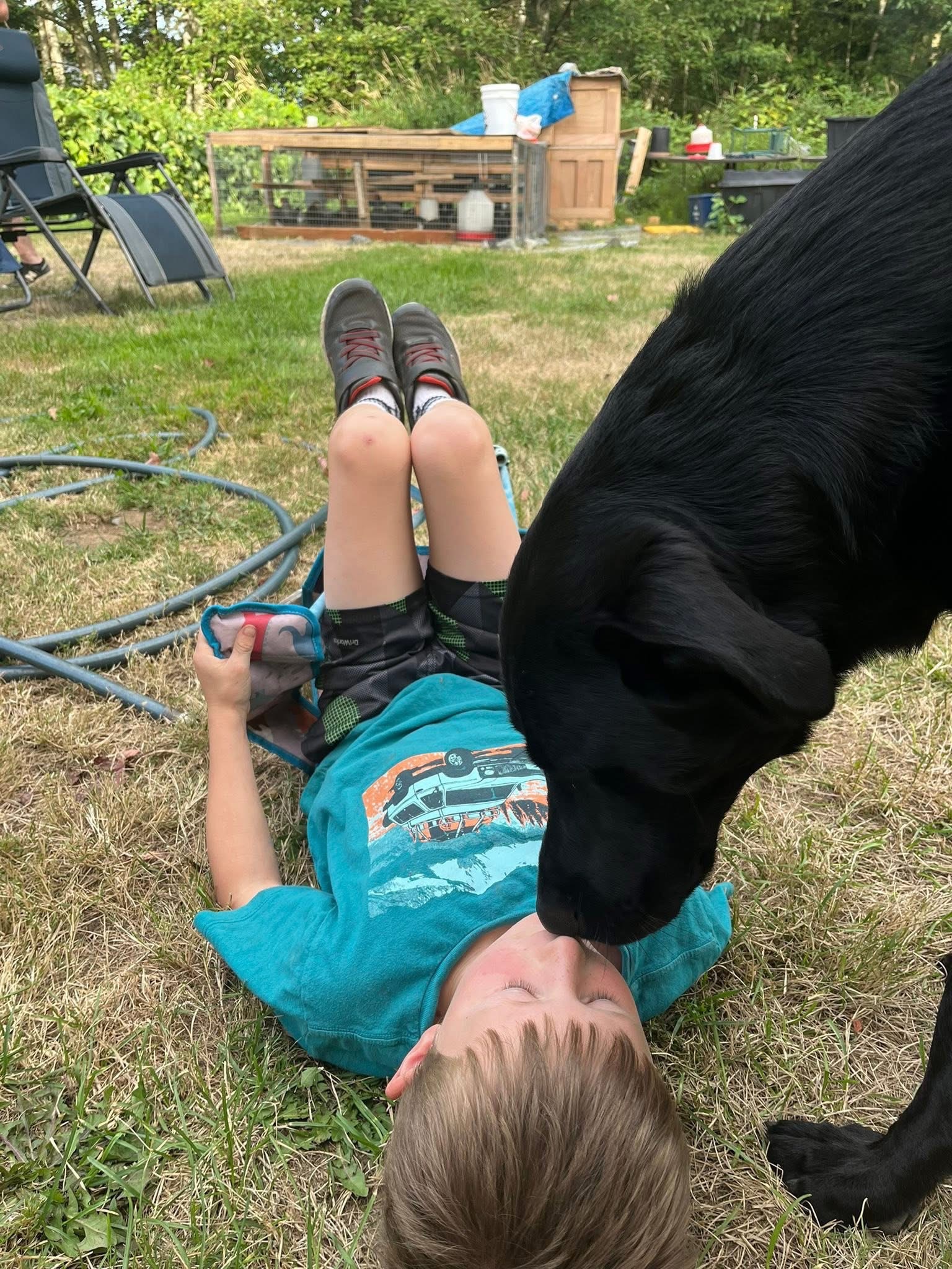 Save Fry: Help Our Beloved Family Dog campaign photo, 4 of 7