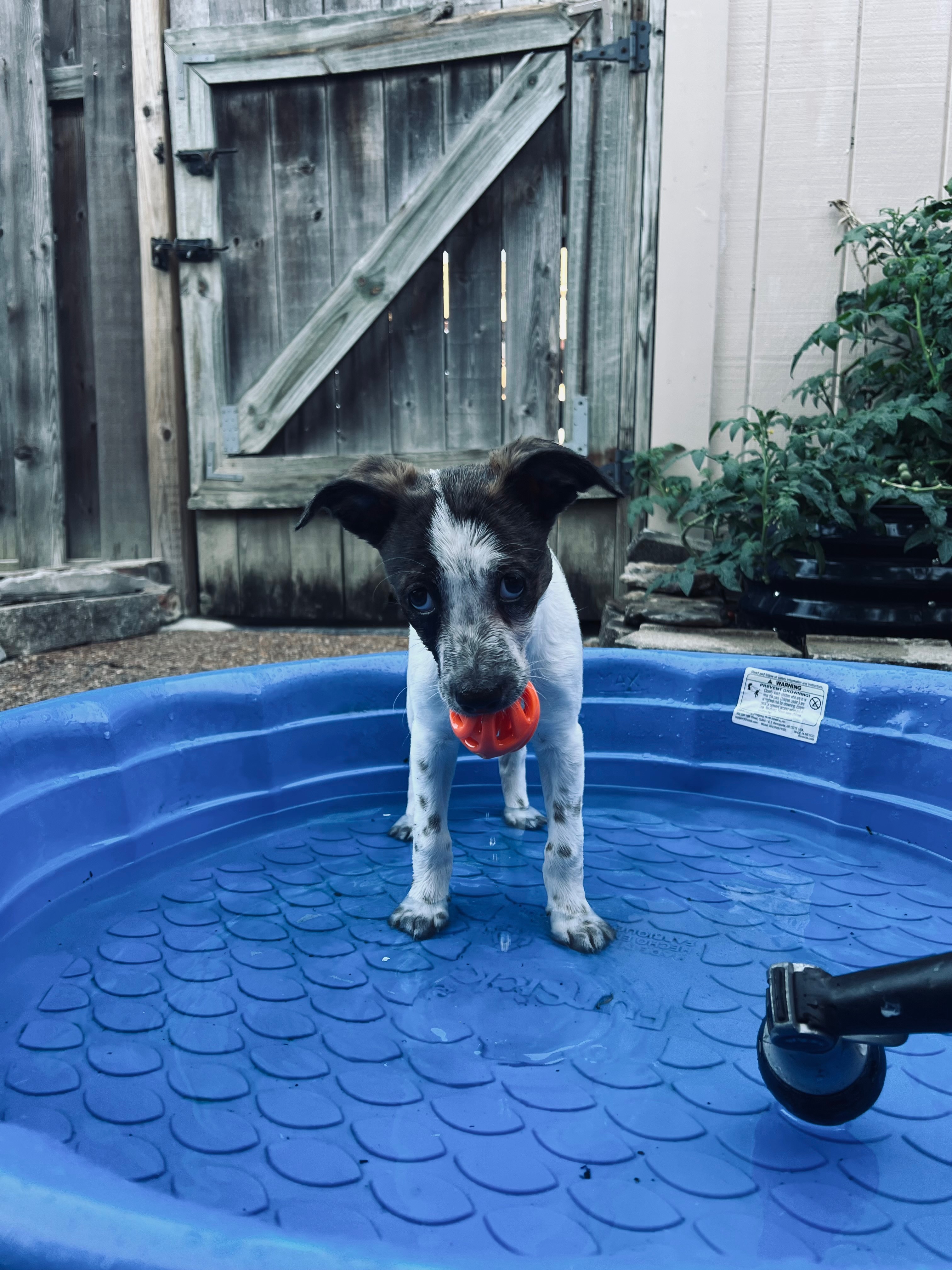 From Creek to Crisis: River Needs Surgery to Survive ❤️ campaign photo, 7 of 8