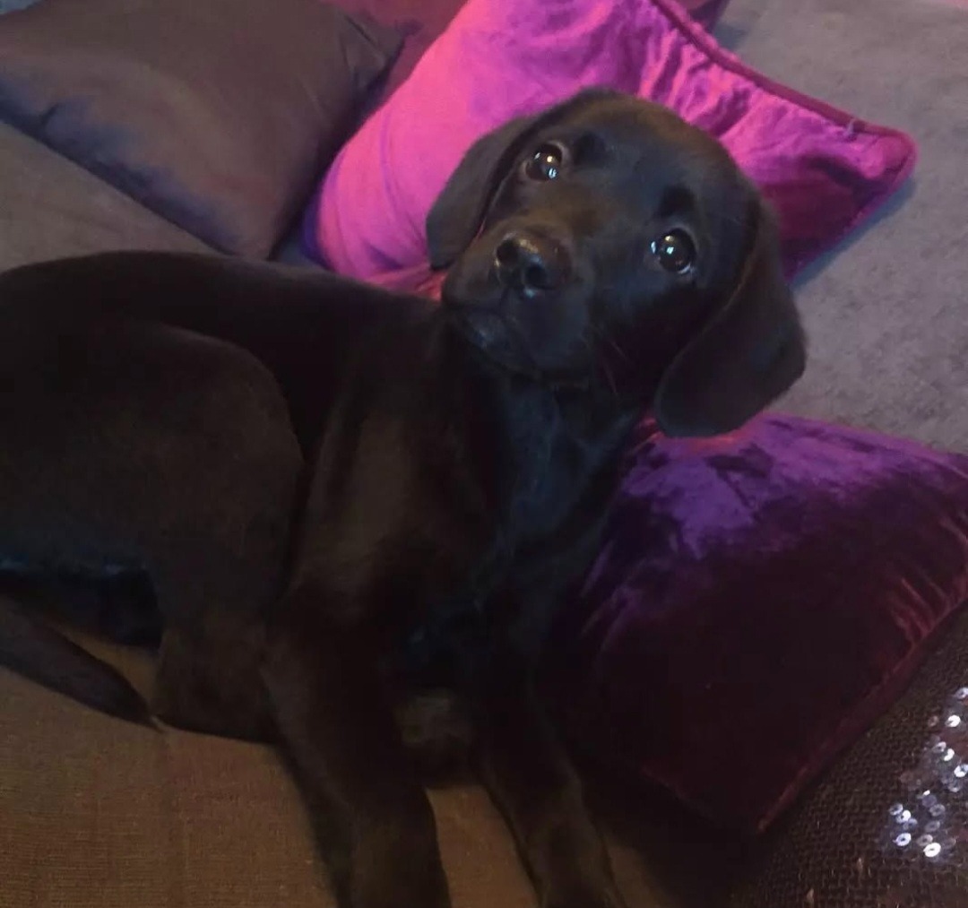 Help with Rose's cancer bills campaign photo, 4 of 8