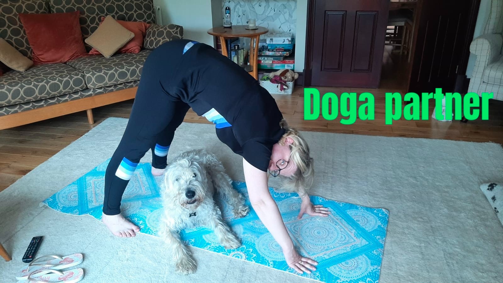 I'm planking to help more dogs find forever homes campaign photo, 4 of 8