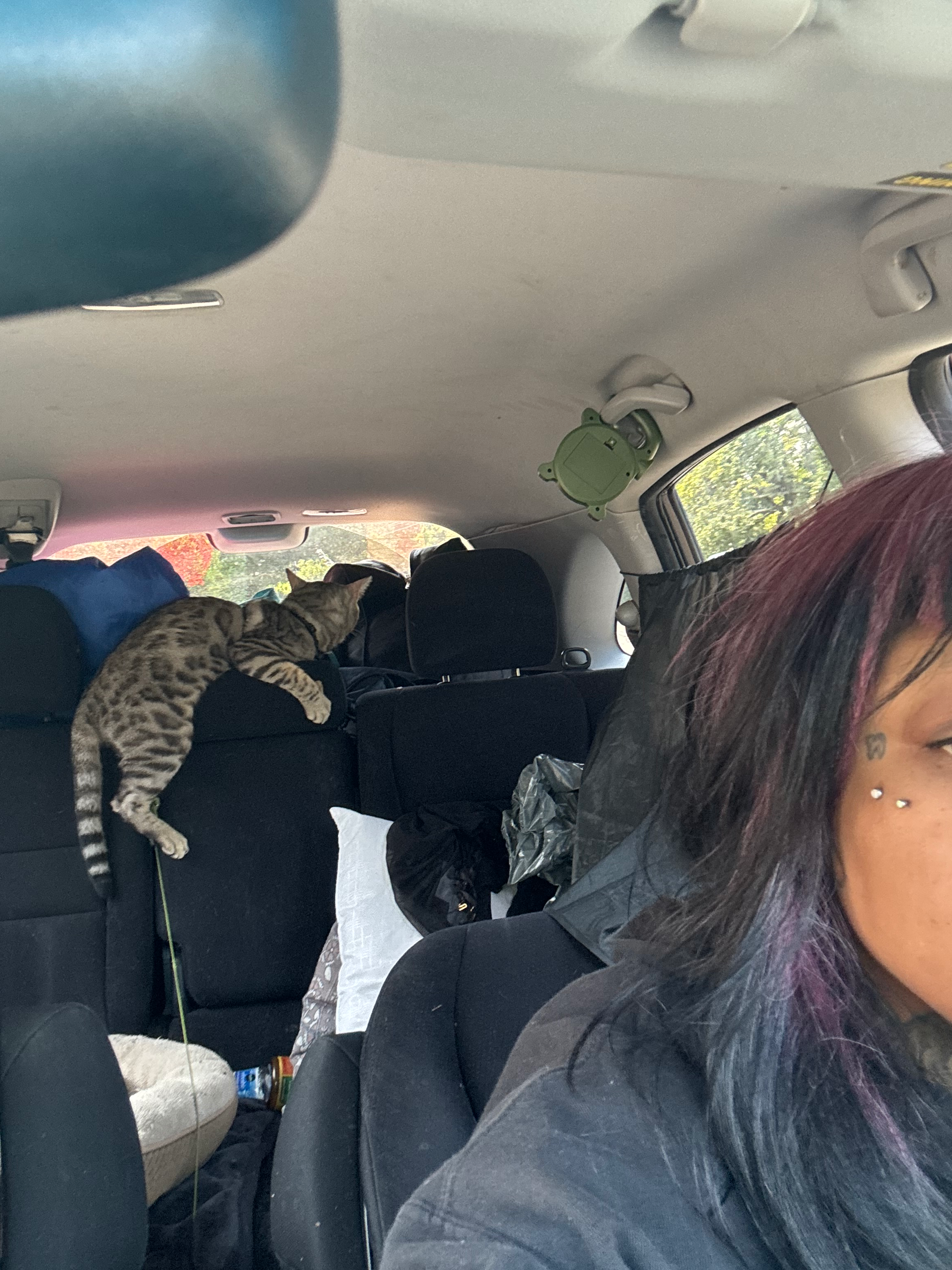 Help Katt Rebuild After Car Theft campaign photo, 2 of 6