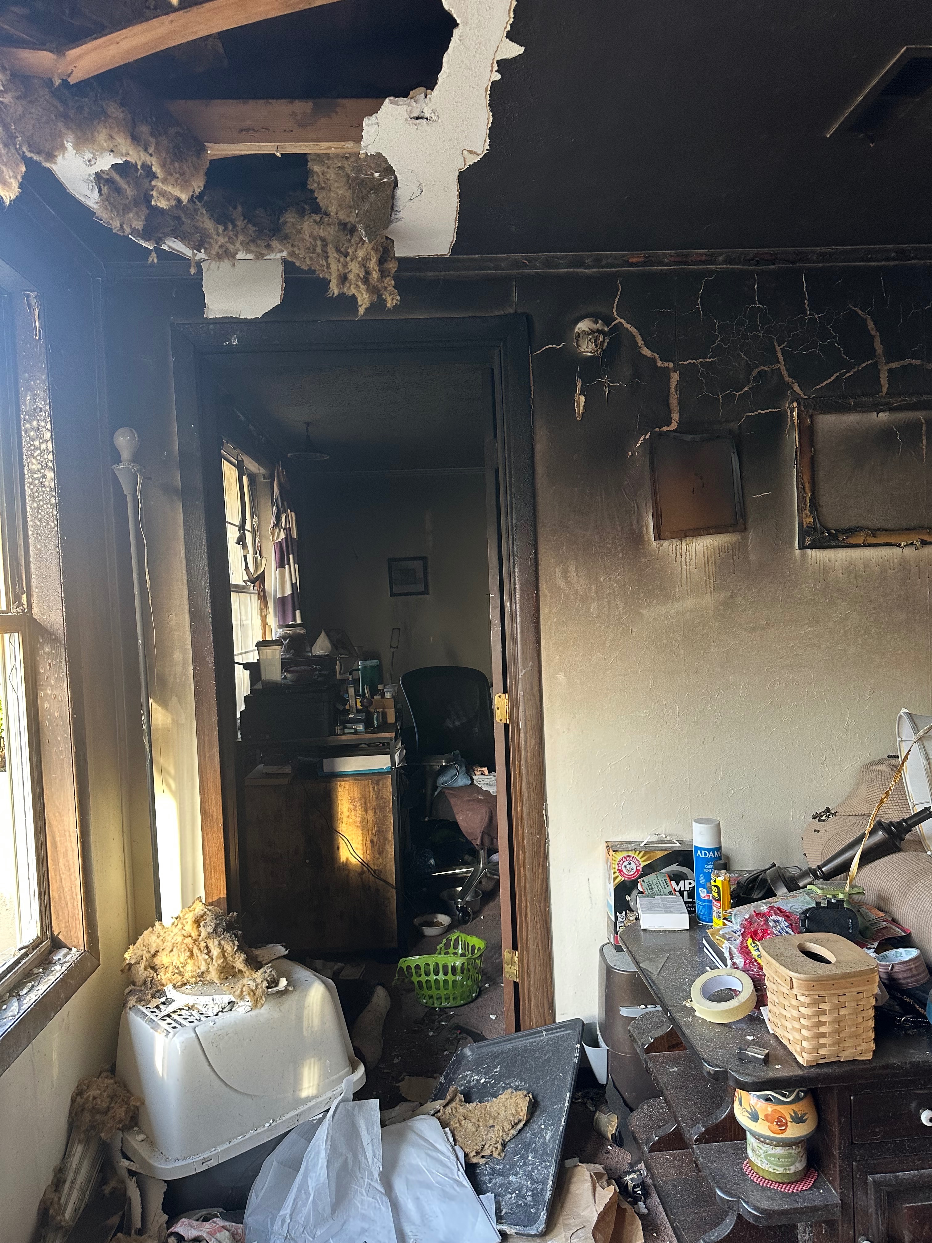 Support Leisa's Family After Devastating Fire campaign photo, 4 of 8