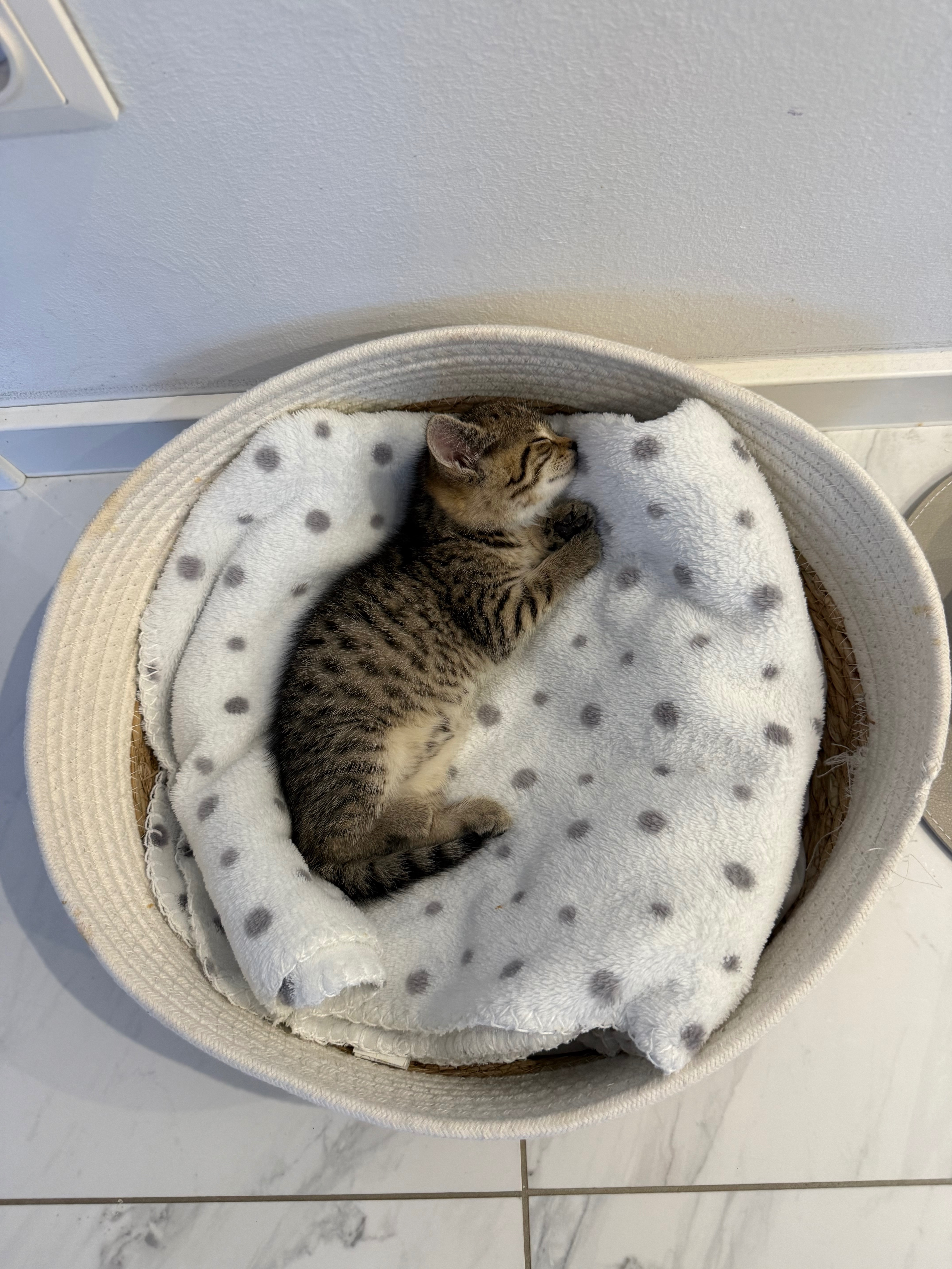 User-uploaded image 2