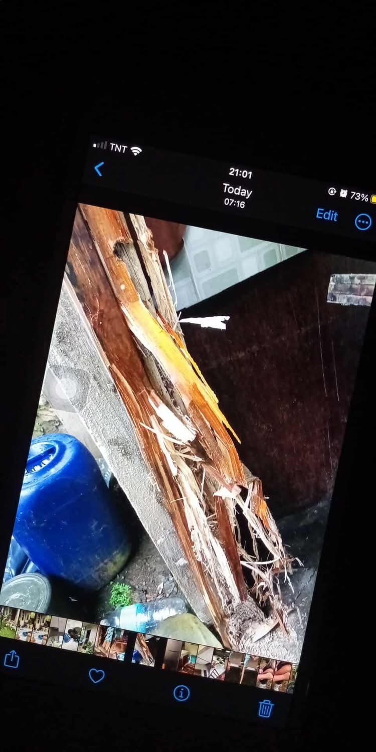 Rebuild Lives in Bogo City, Philippines After Earthquake campaign photo, 5 of 8