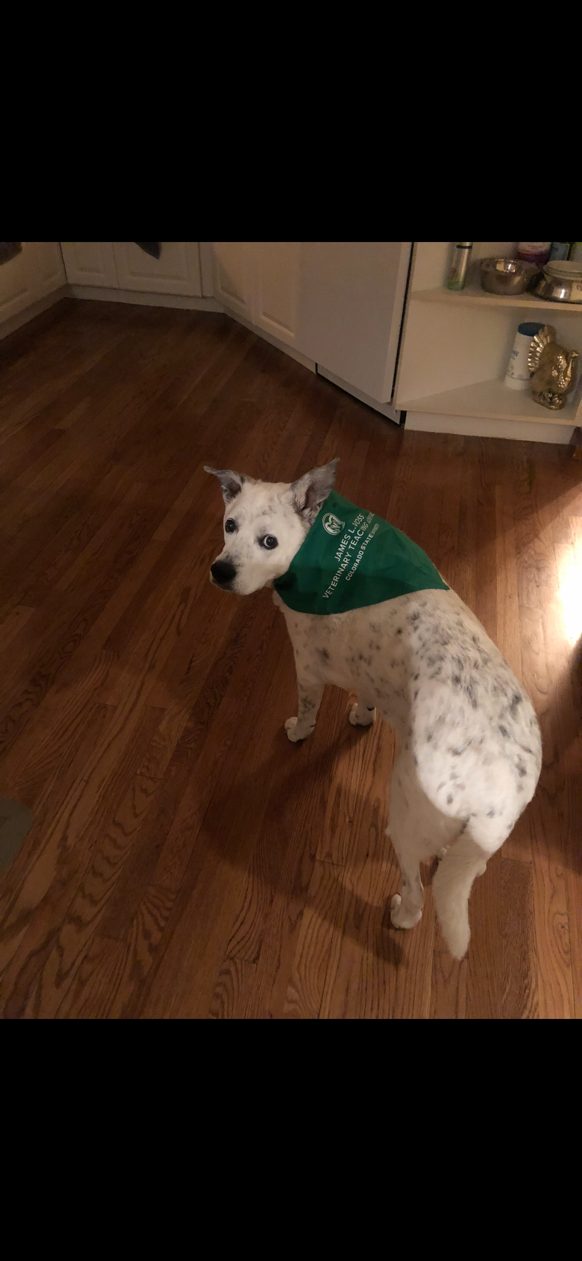 Help Taya Fight Nasal Cancer campaign photo, 7 of 8