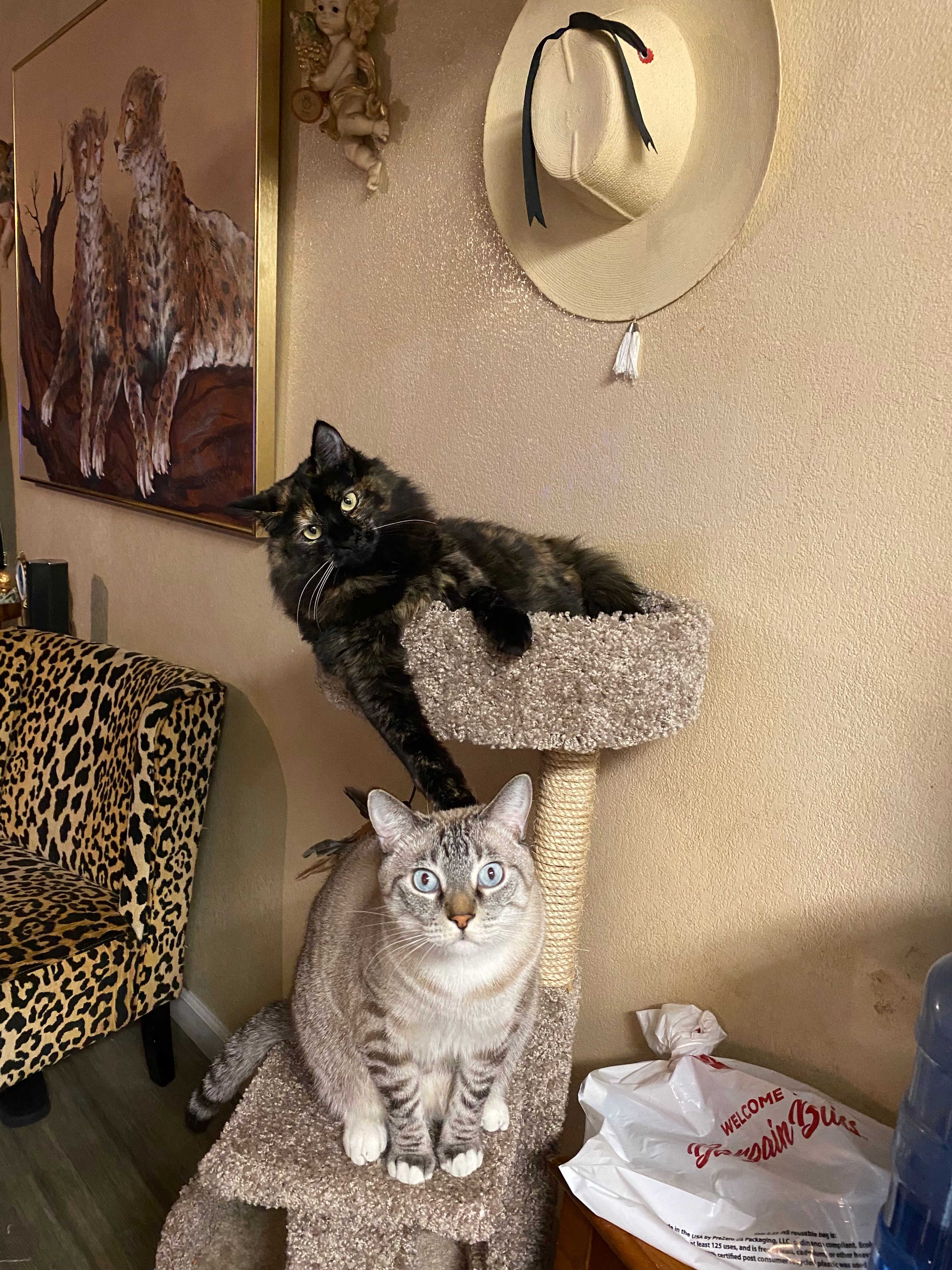 User-uploaded image 2