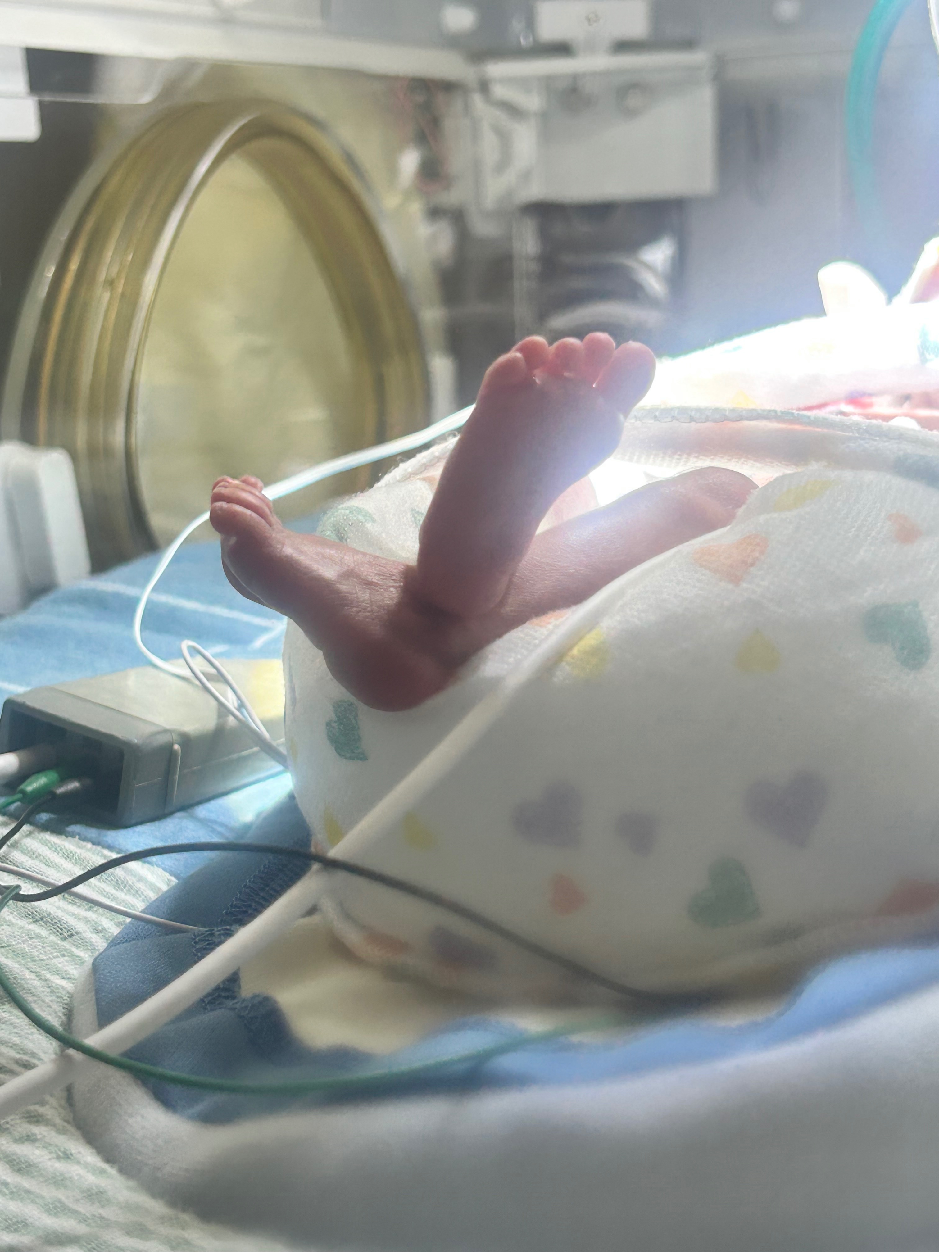 Support Ryan and Channa during NICU stay campaign photo, 5 of 6