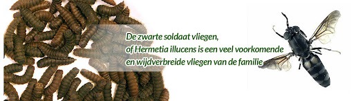 Samen bouwen aan een milieuvriendelijke kwekerij campaign photo, 6 of 7