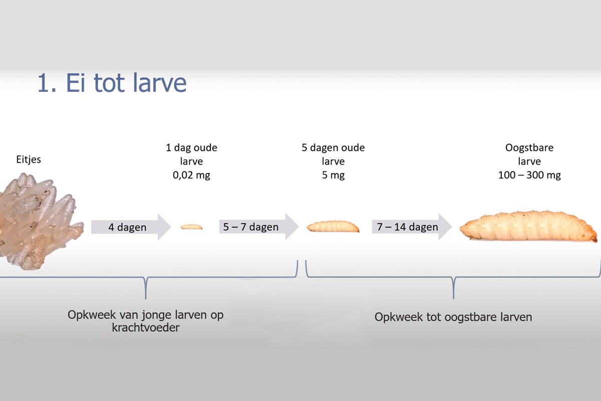 Samen bouwen aan een milieuvriendelijke kwekerij campaign photo, 2 of 7