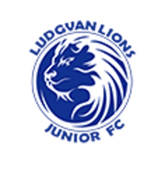 Ludgvan Lions u7, u9 and u10 campaign photo, 4 of 5