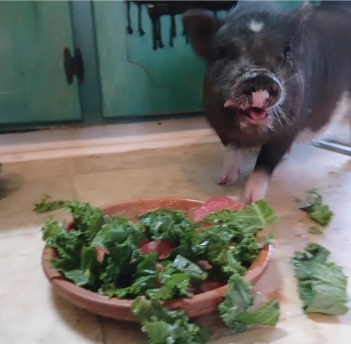 Donate to Ensure Rosita's Healthy Future campaign photo, 2 of 4