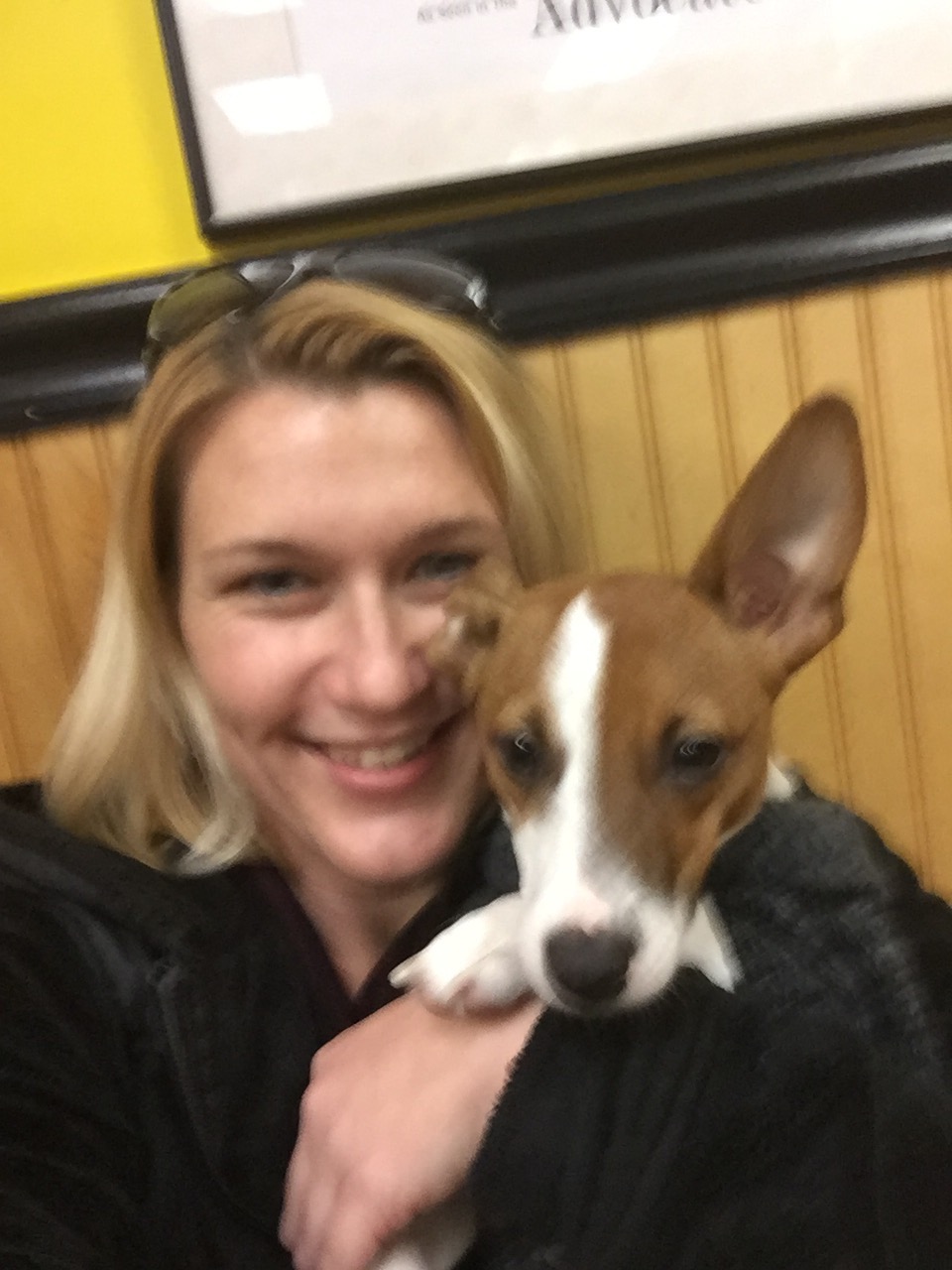 Help Taz - Emergency Spinal Surgery campaign photo, 6 of 8
