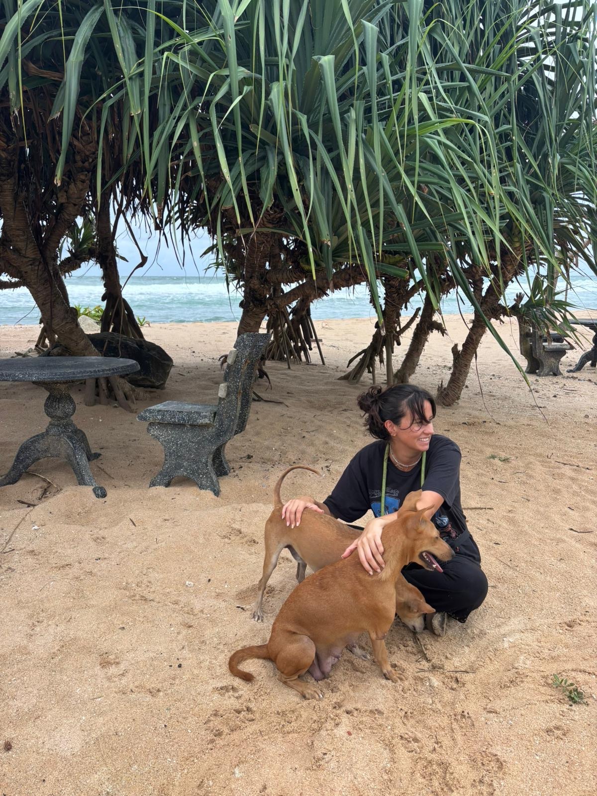 Saving Street Dogs campaign photo, 7 of 8