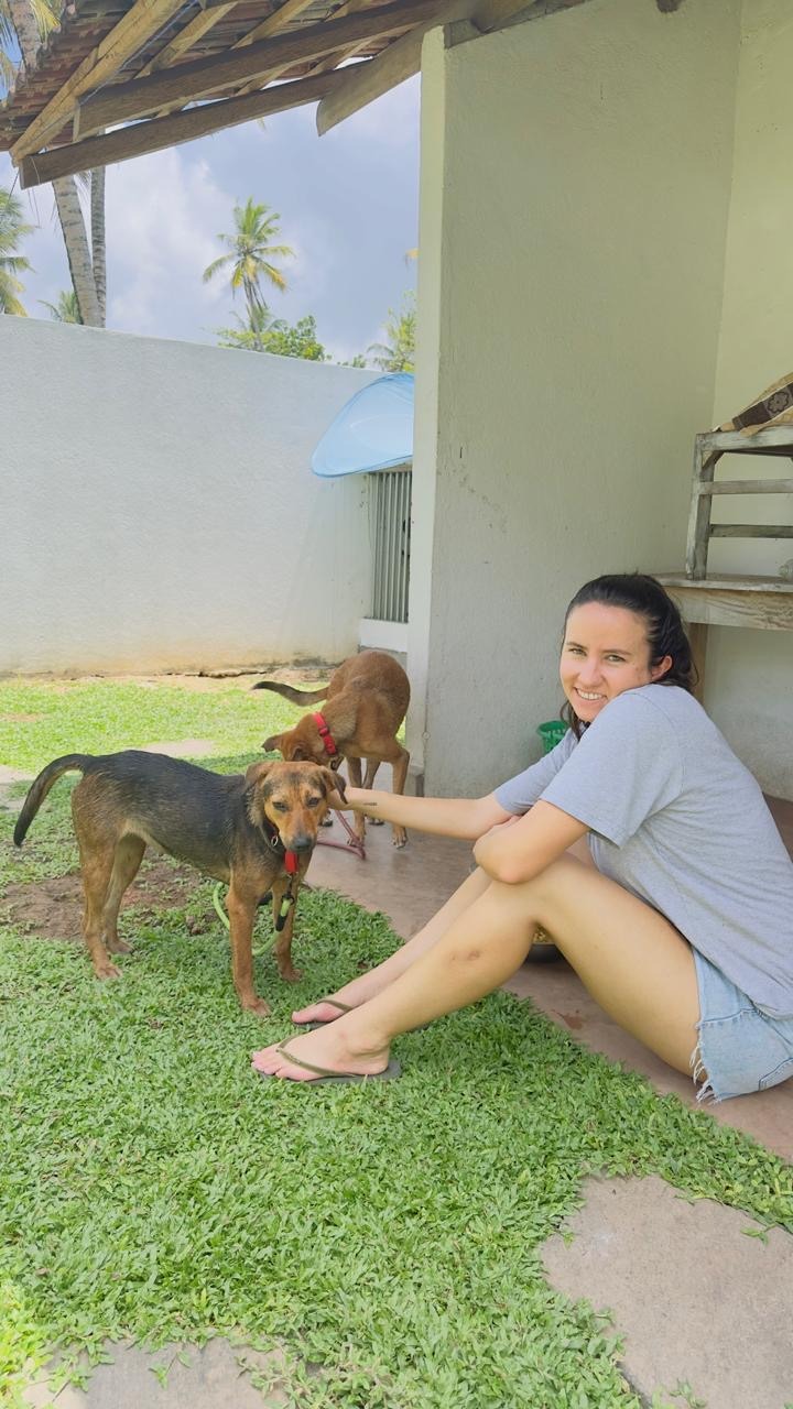 Saving Street Dogs campaign photo, 2 of 8