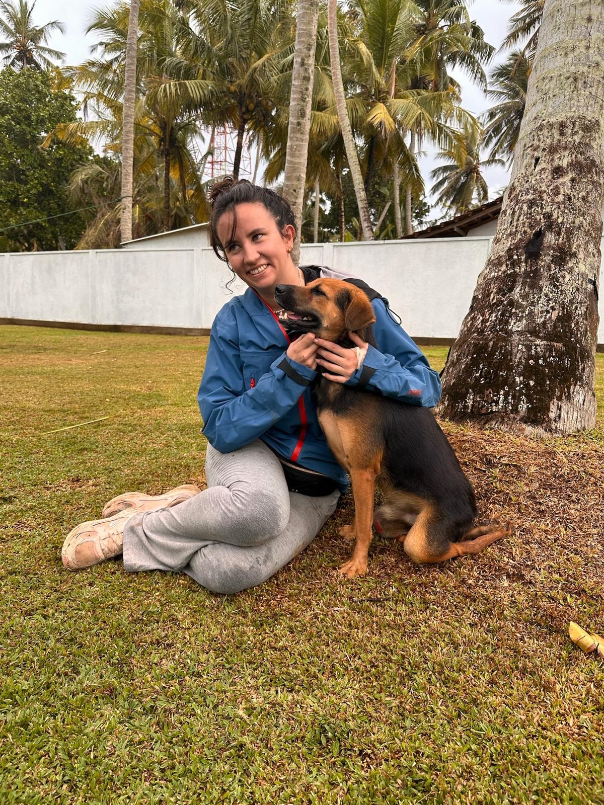 Saving Street Dogs campaign photo, 4 of 8