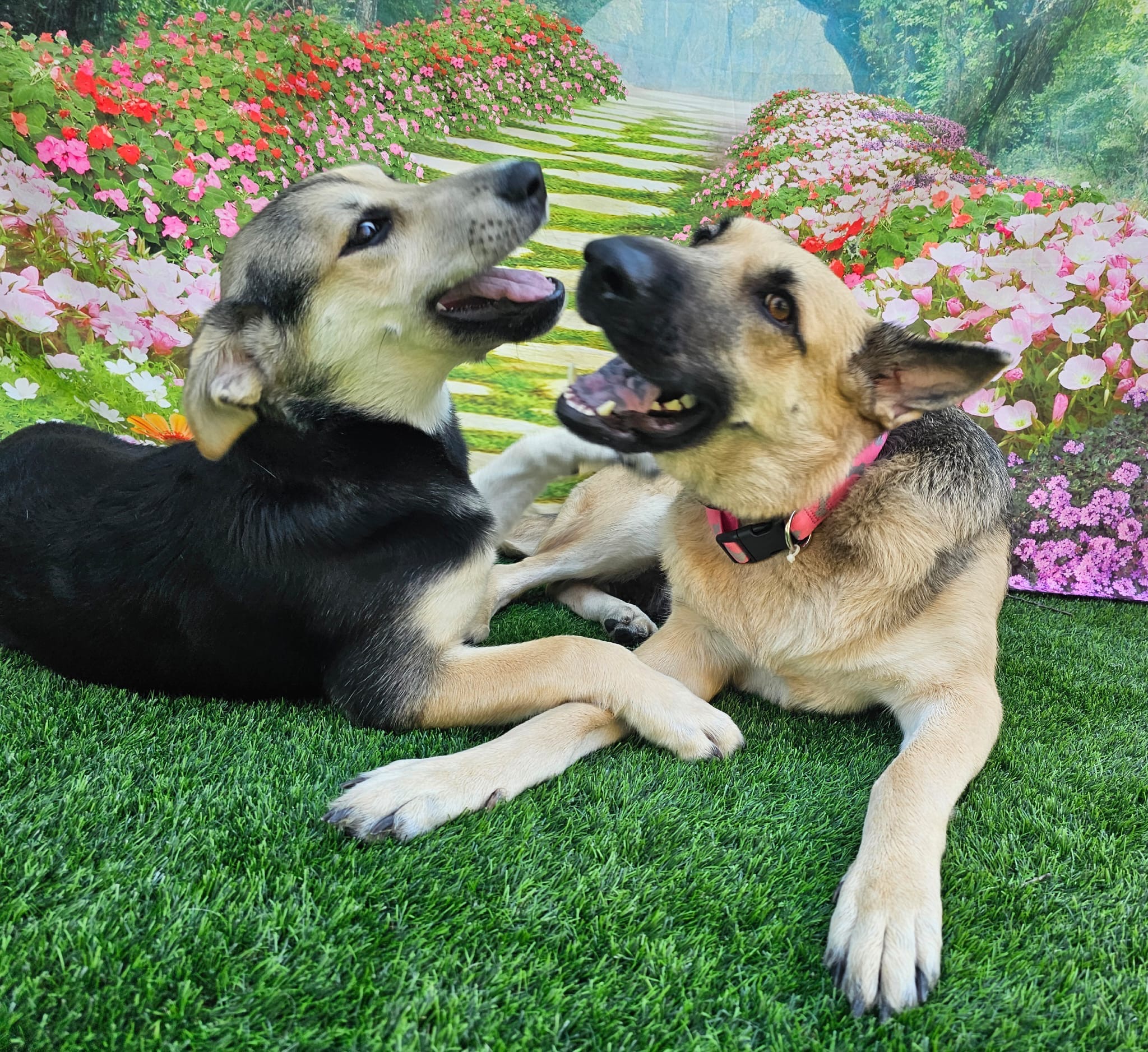 Mama Angel Needs Us: Please Help Fund Her Treatment campaign photo, 4 of 6