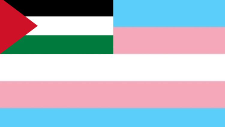 Palestinian Trans Woman in Need of Life-Saving Surgery pinned link photo