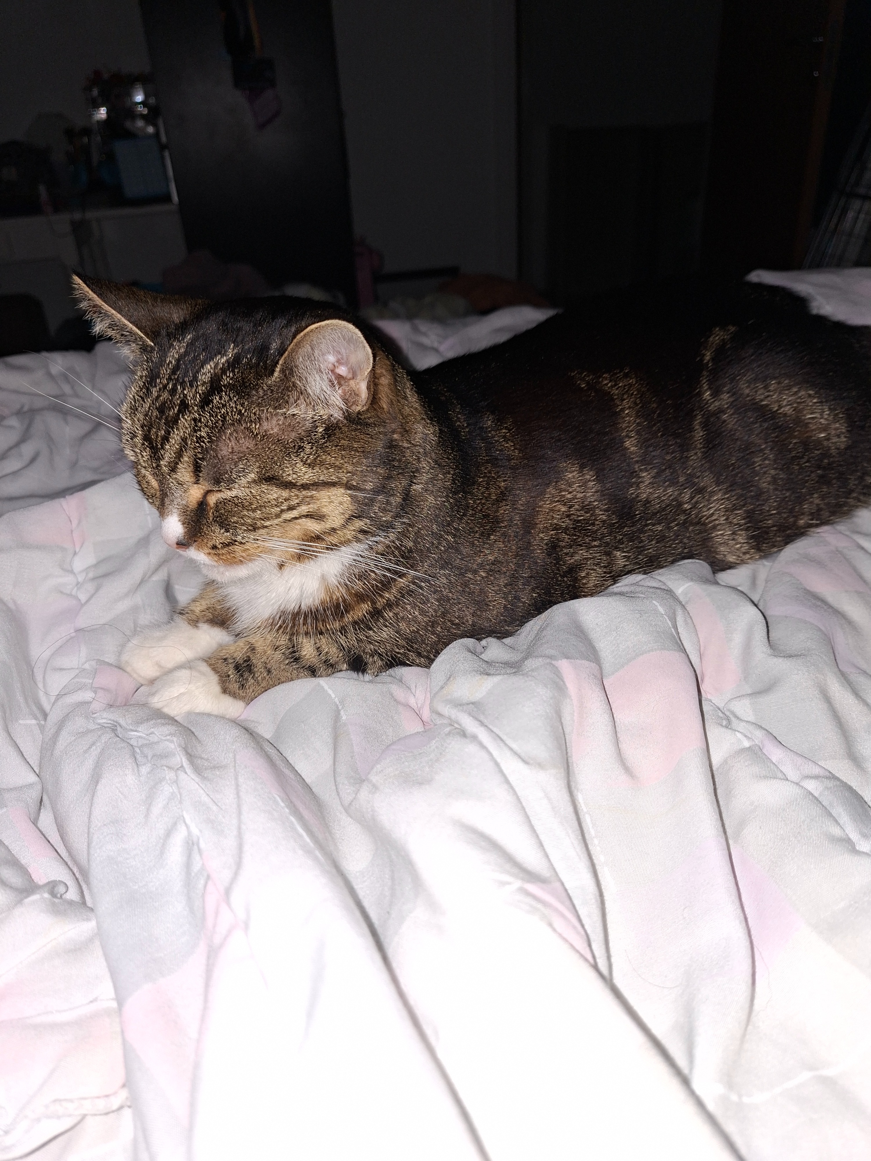 Help Mizzie Begin Her Diabetes Treatment To Live Comfortably campaign photo, 5 of 6