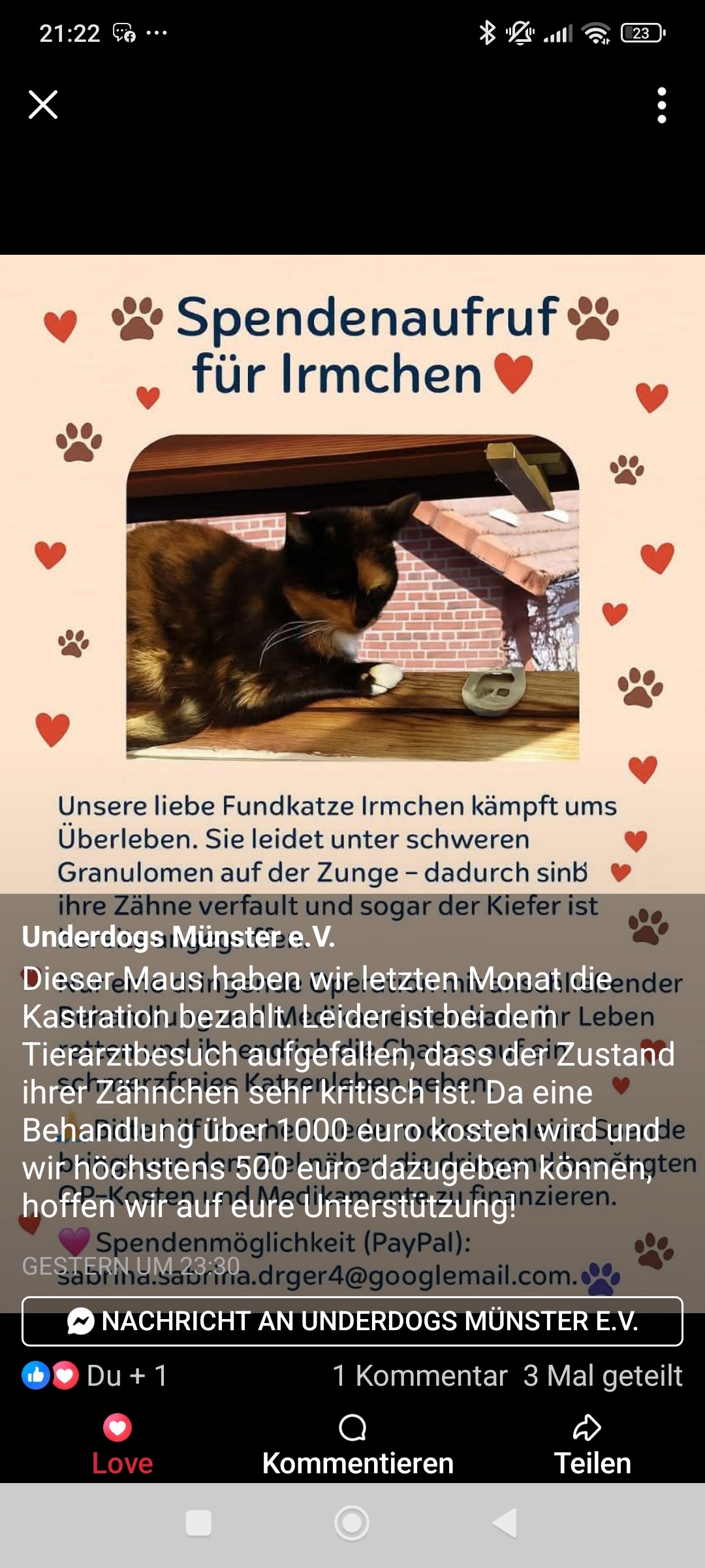 IRMCHEN campaign photo, 2 of 5