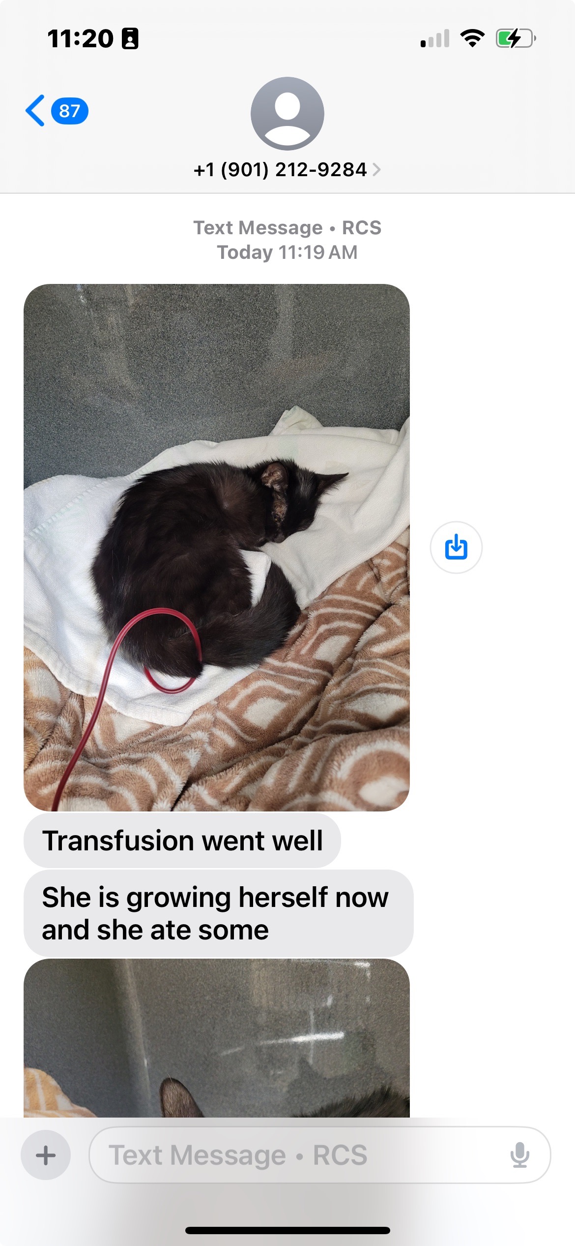 Save Onyx: Urgent Medical Help Needed campaign photo, 2 of 8