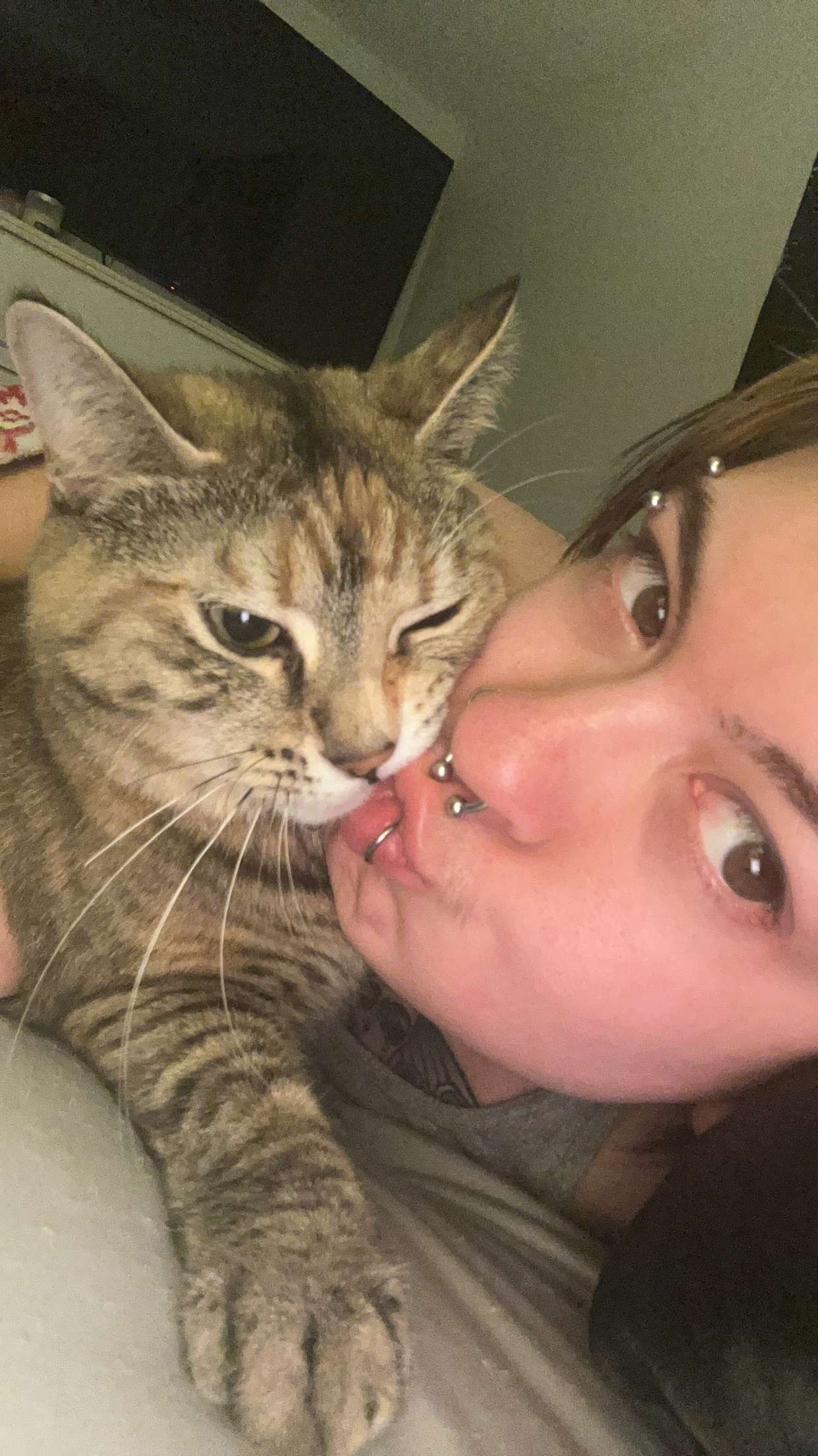 Help me pay CrunchWrap's vet bills campaign photo, 7 of 8