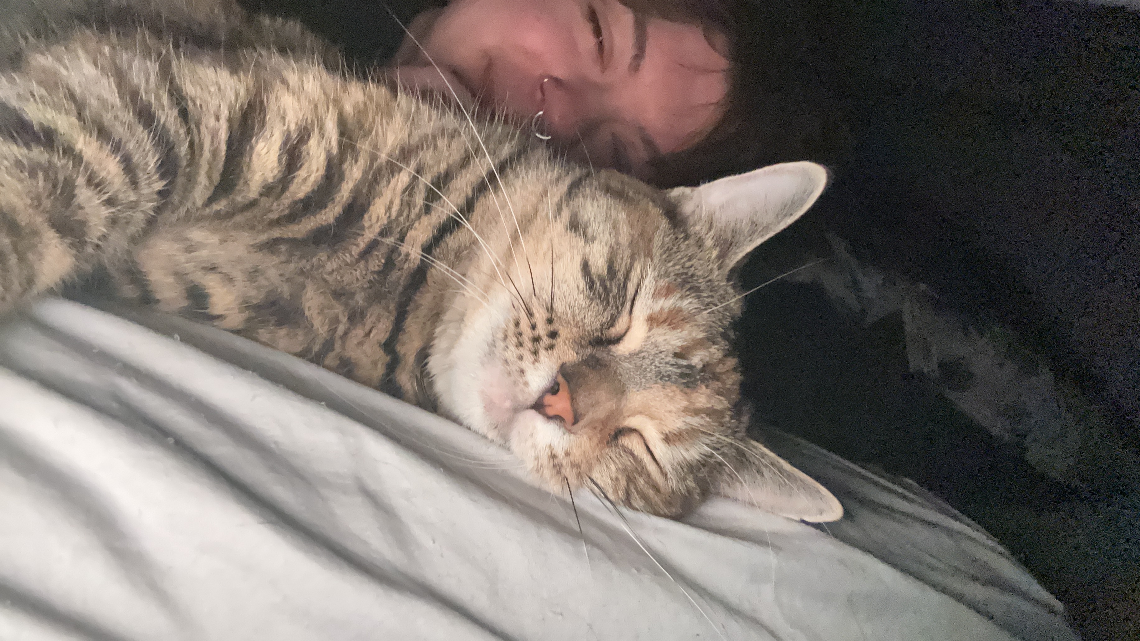 Help me pay CrunchWrap's vet bills campaign photo, 2 of 8