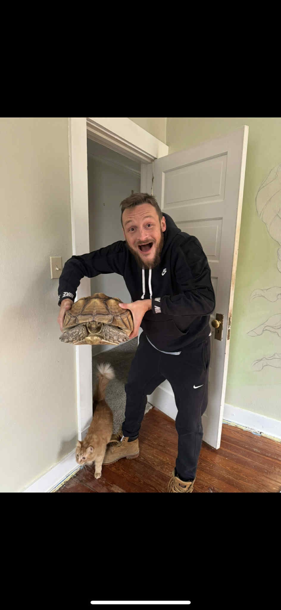 User-uploaded image 2