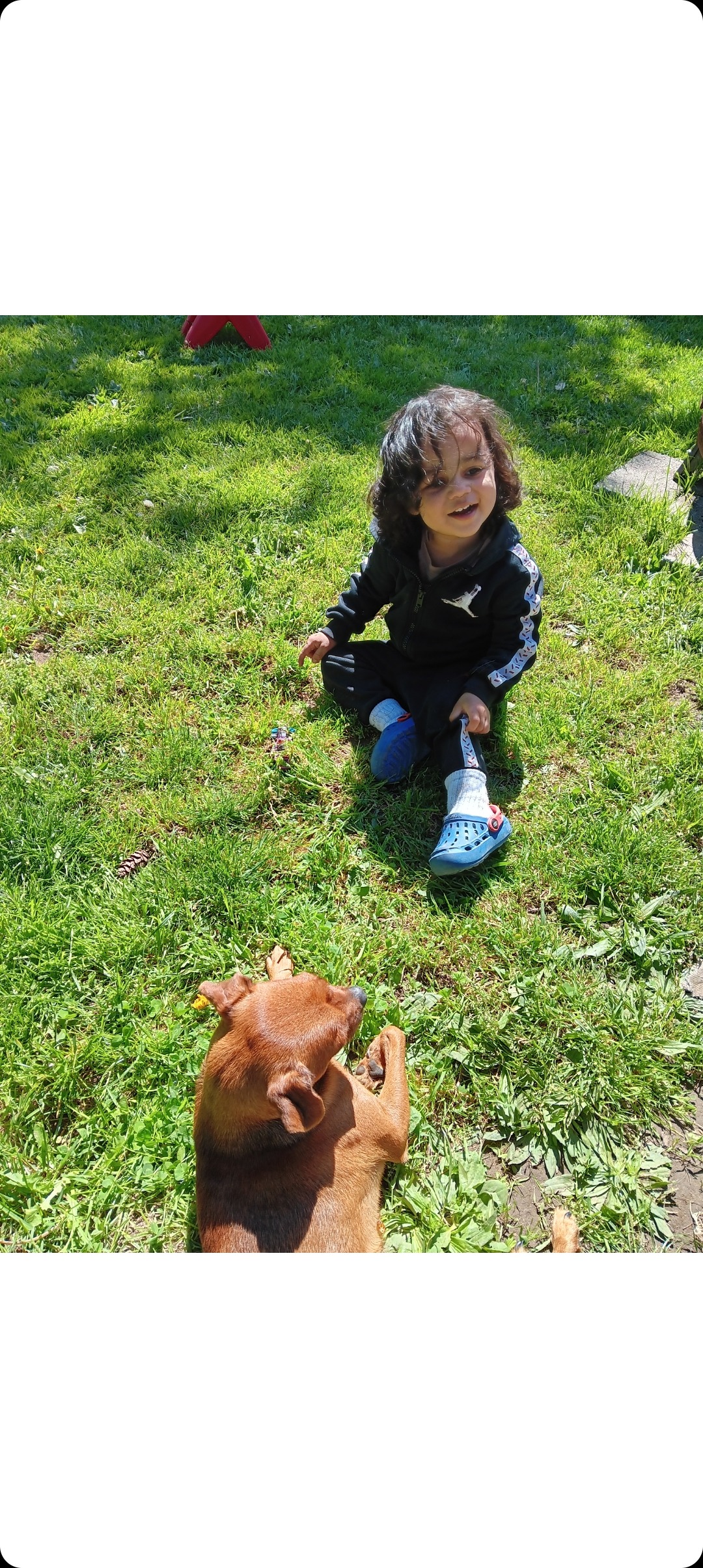Help Killer Get Life-Saving Surgery campaign photo, 4 of 6
