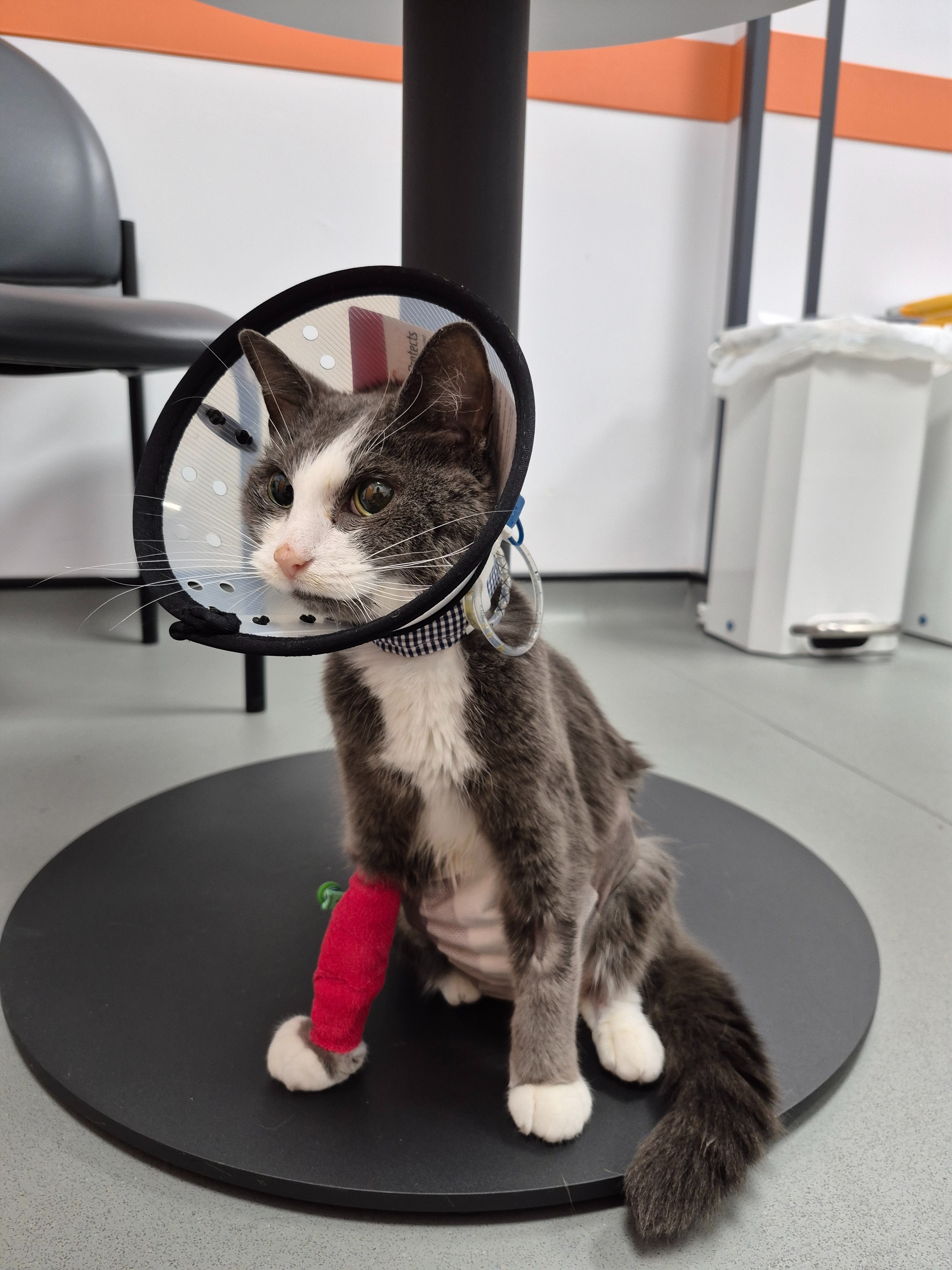 Tonks' troubles campaign photo, 7 of 8
