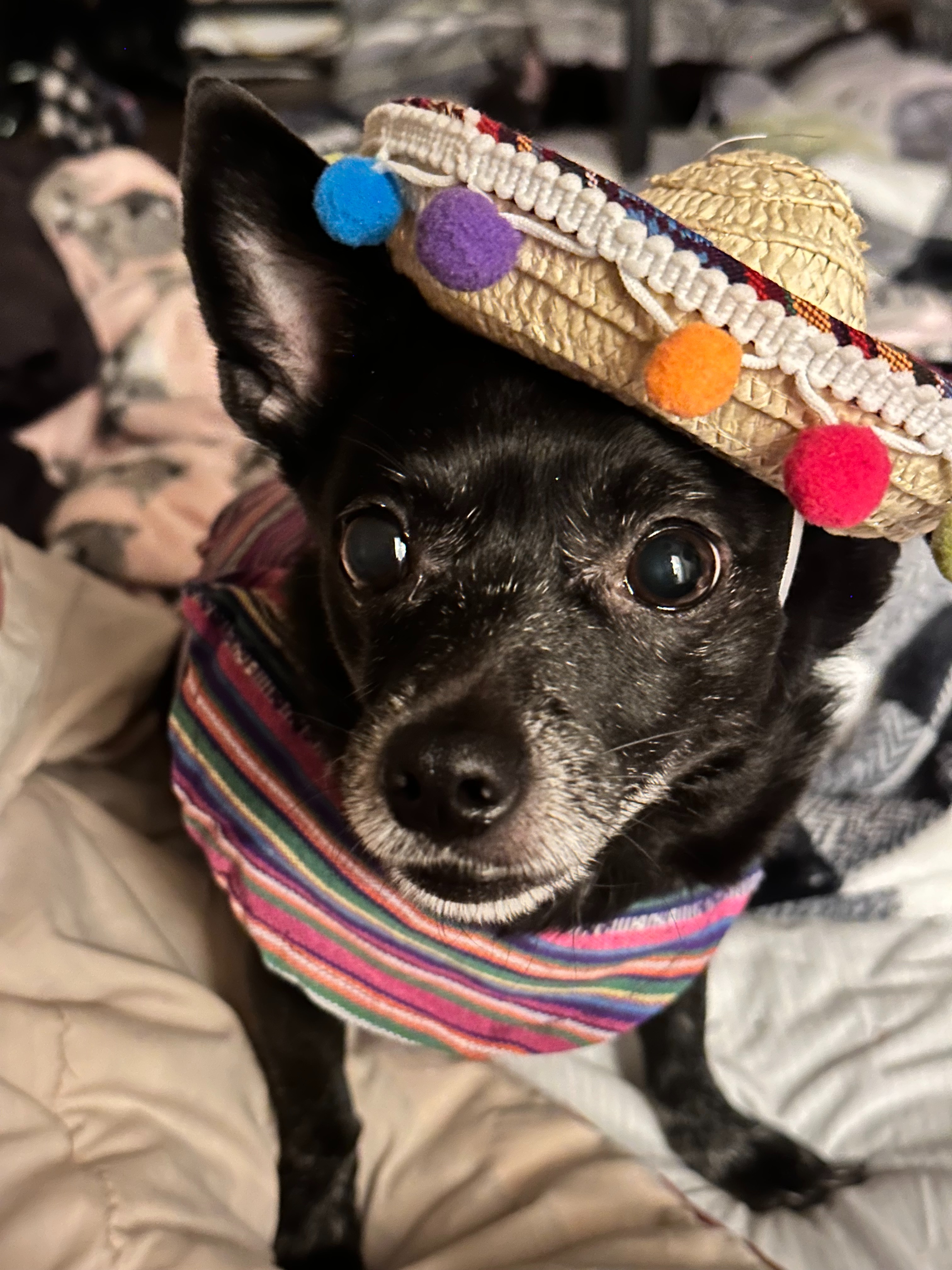 Please Help Mimy Get Lifesaving Surgery campaign photo, 6 of 7